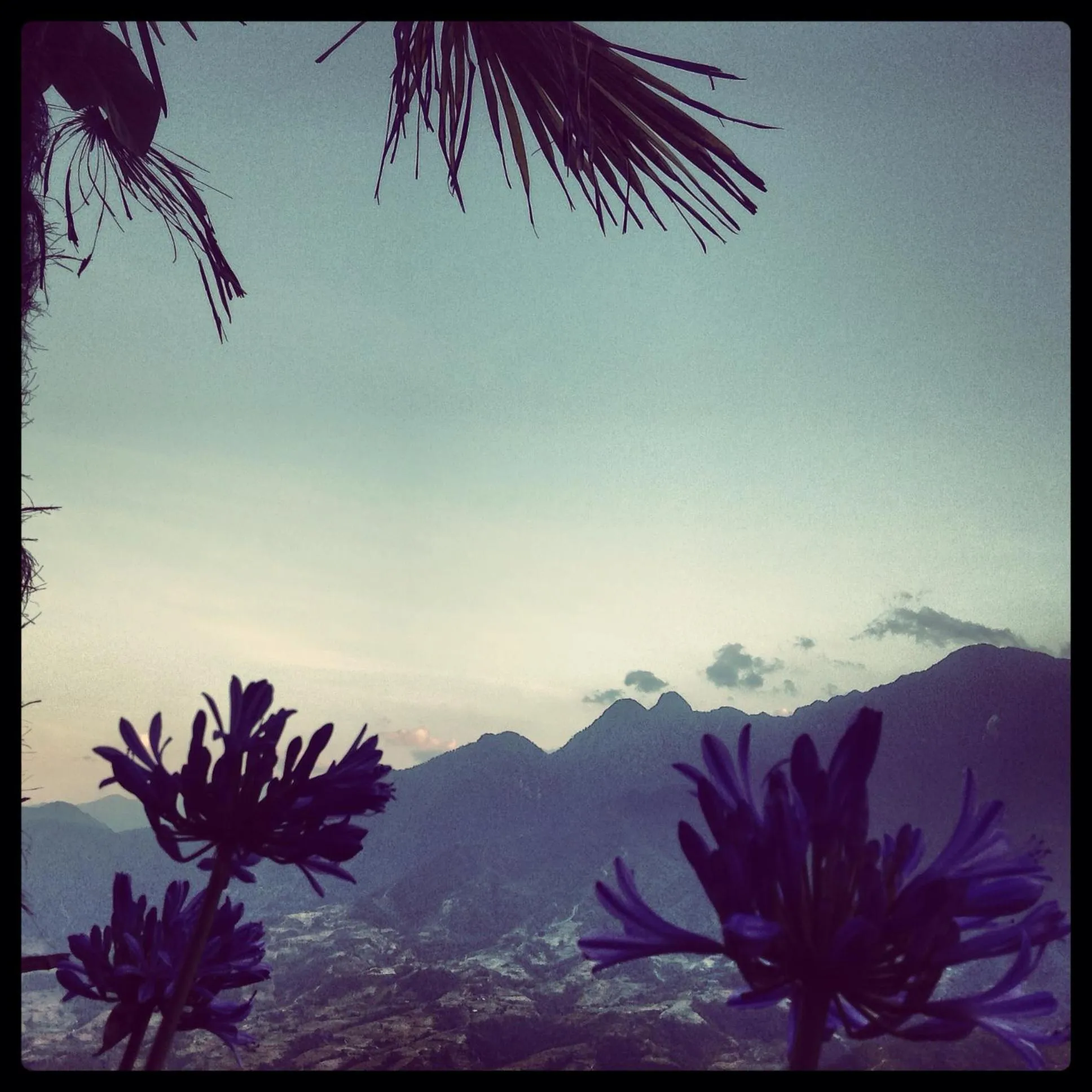 Luckydaisy Buffalo House