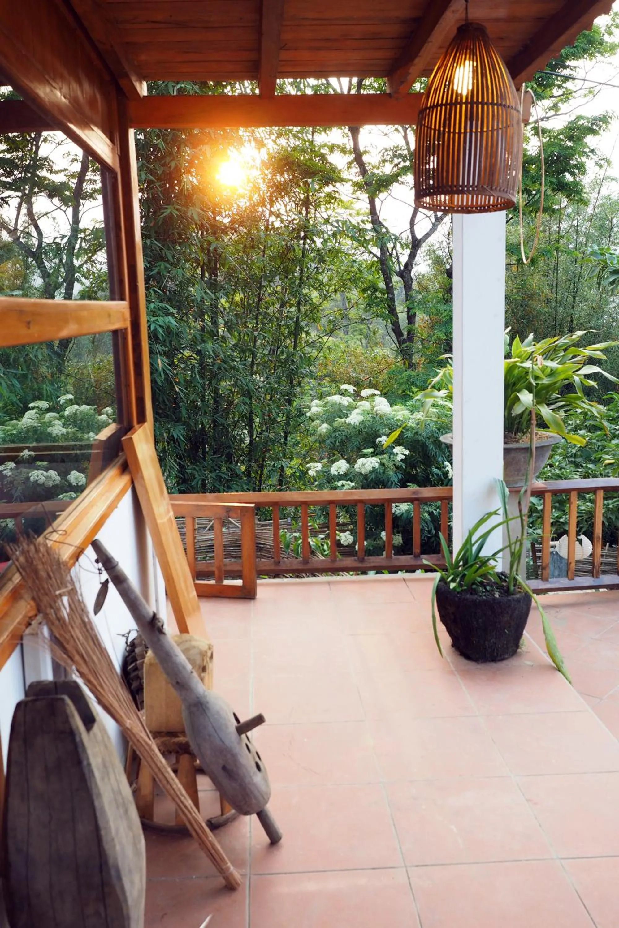 Luckydaisy Buffalo House