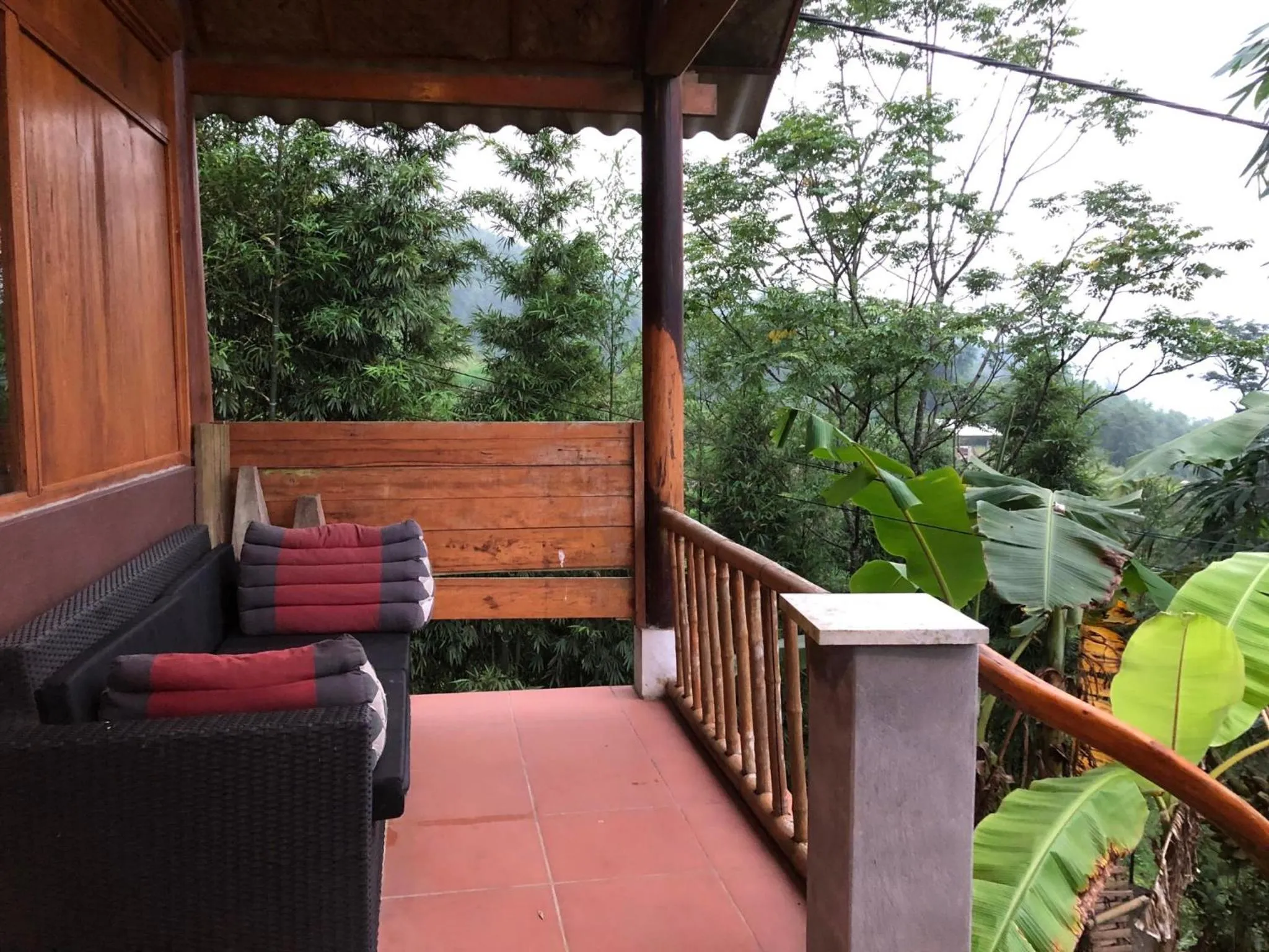 Luckydaisy Buffalo House