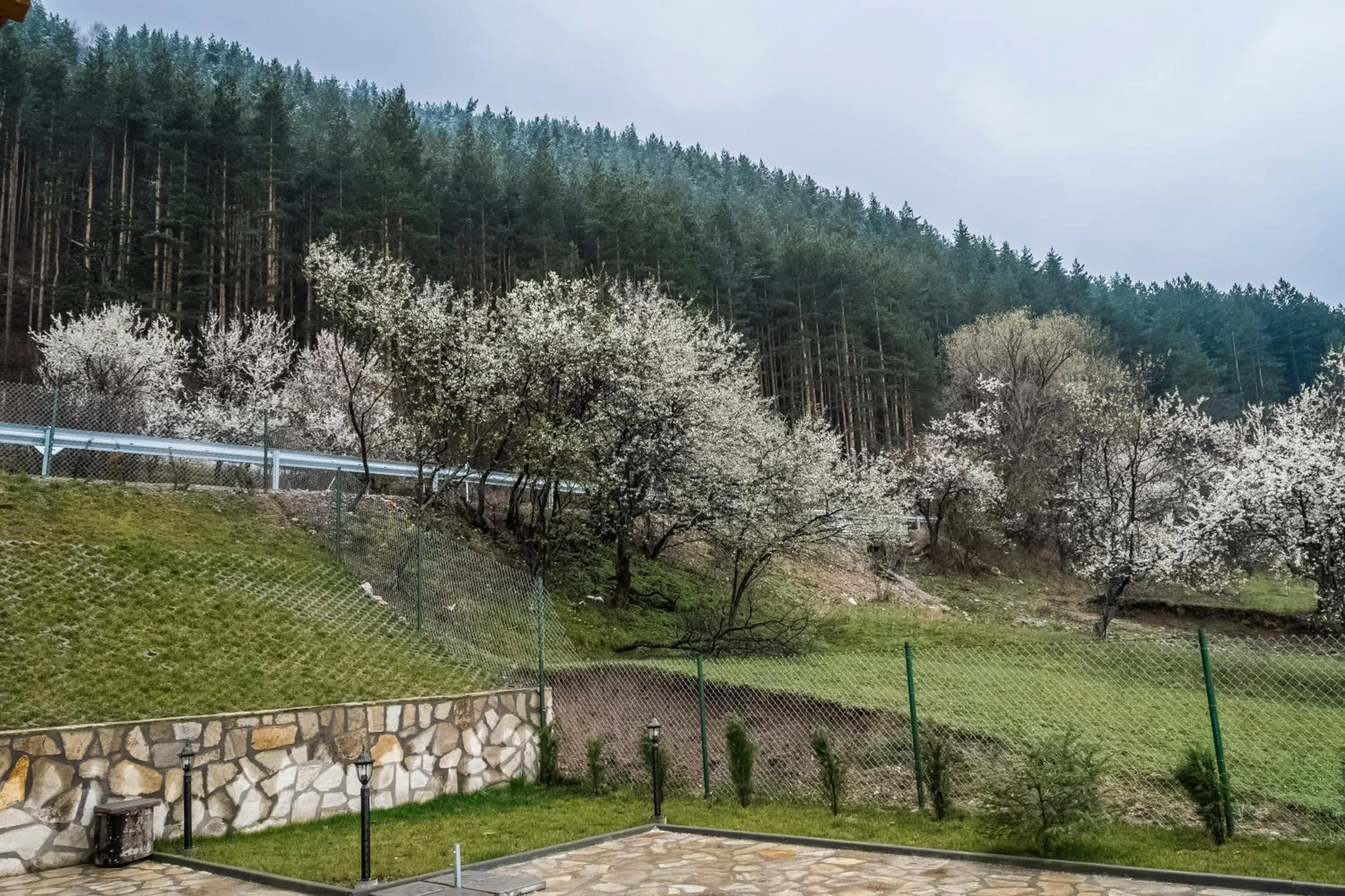 Spring in Mini Complex Rilski Terasi