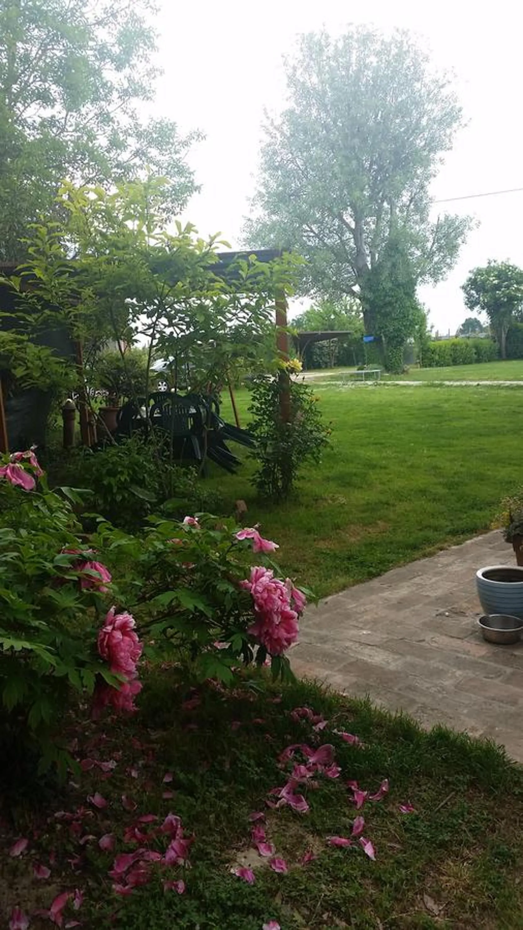 Garden in B&B La Palazza