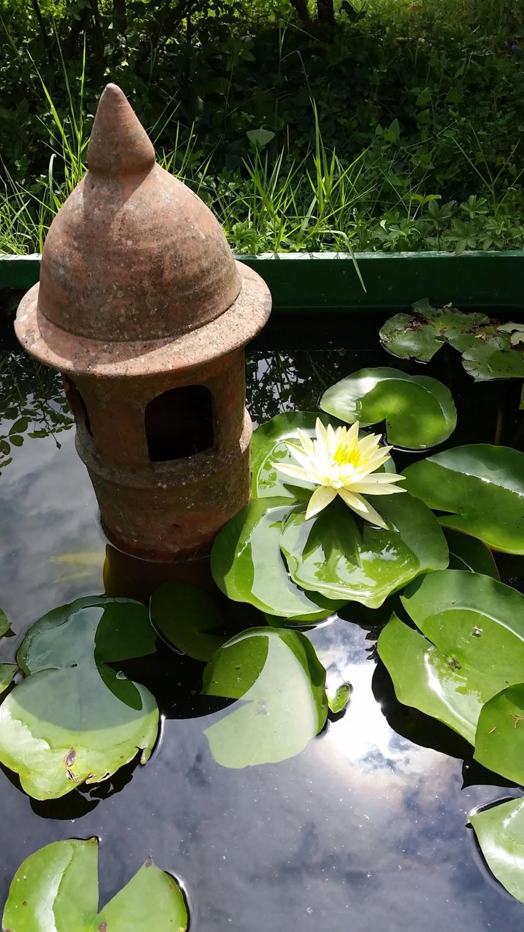 Garden view in B&B La Palazza