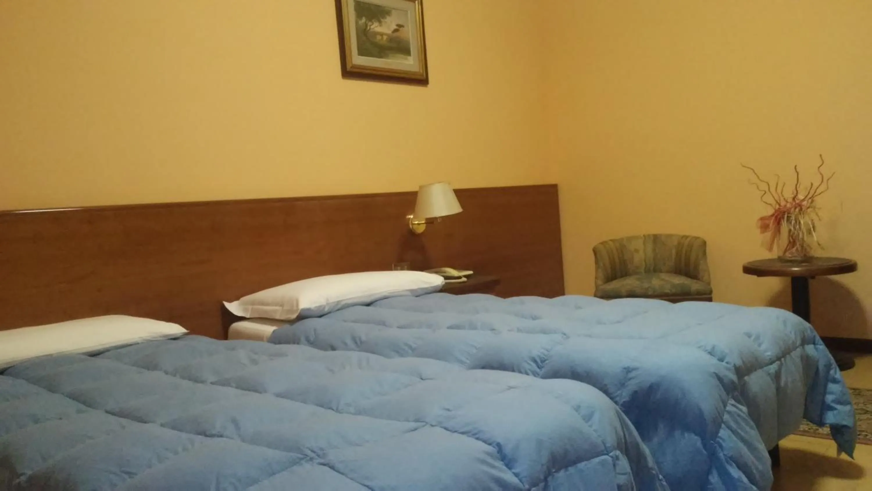 Twin Room with Private Bathroom - single occupancy in Hotel Due Fontane