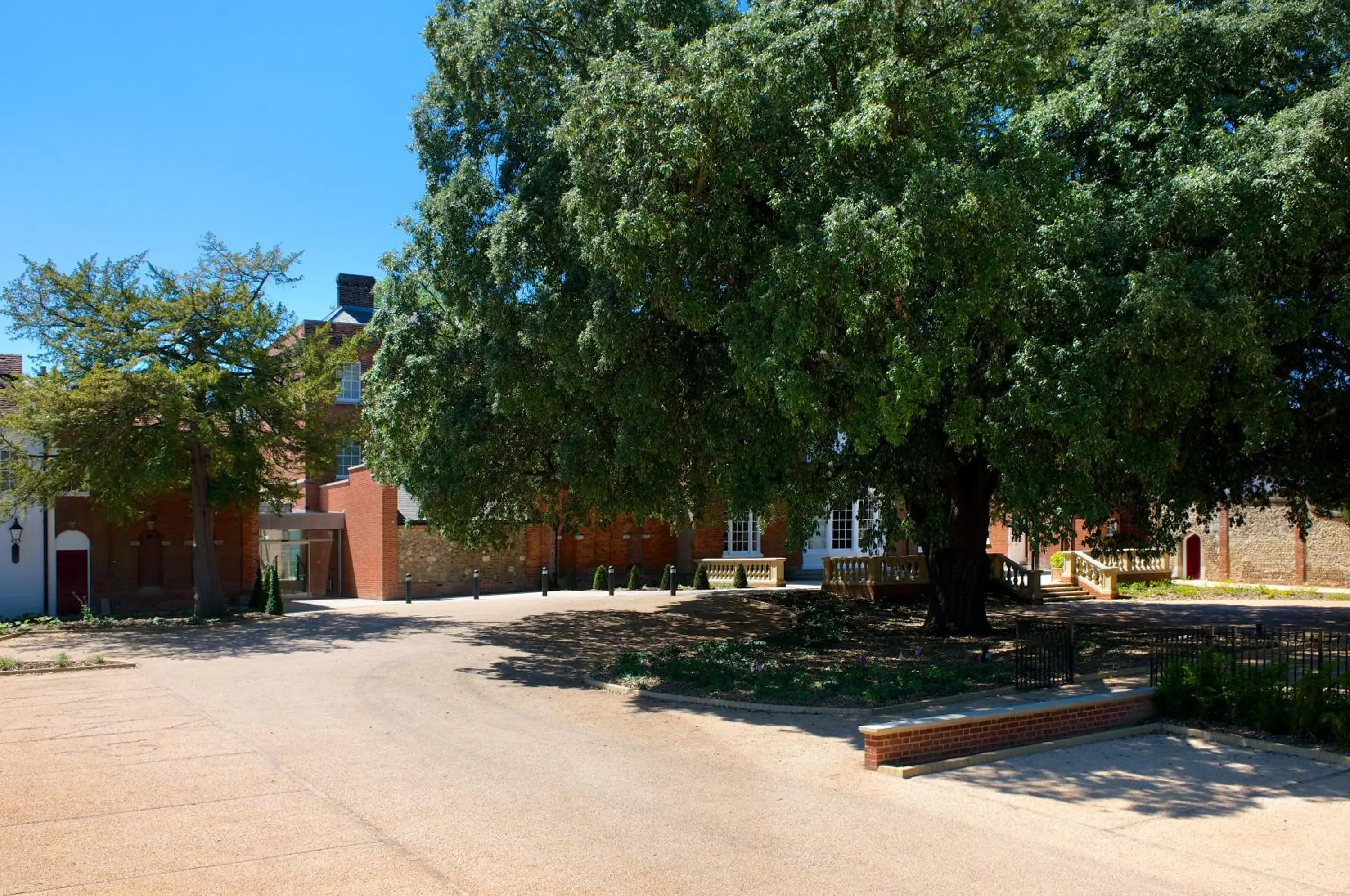 Garden view in GreyFriars Garden view in GreyFriars