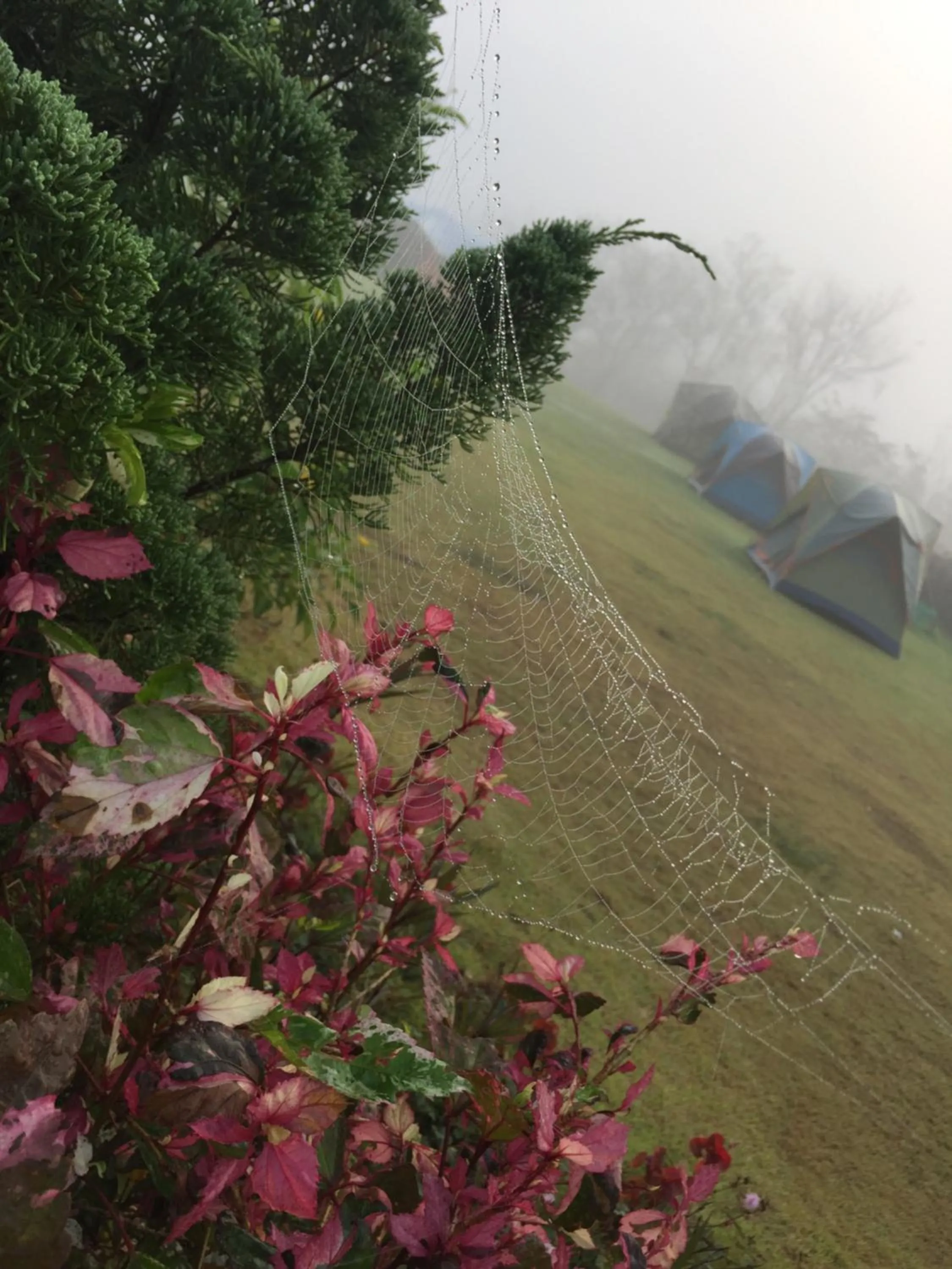 Khaoyai Nature Retreat