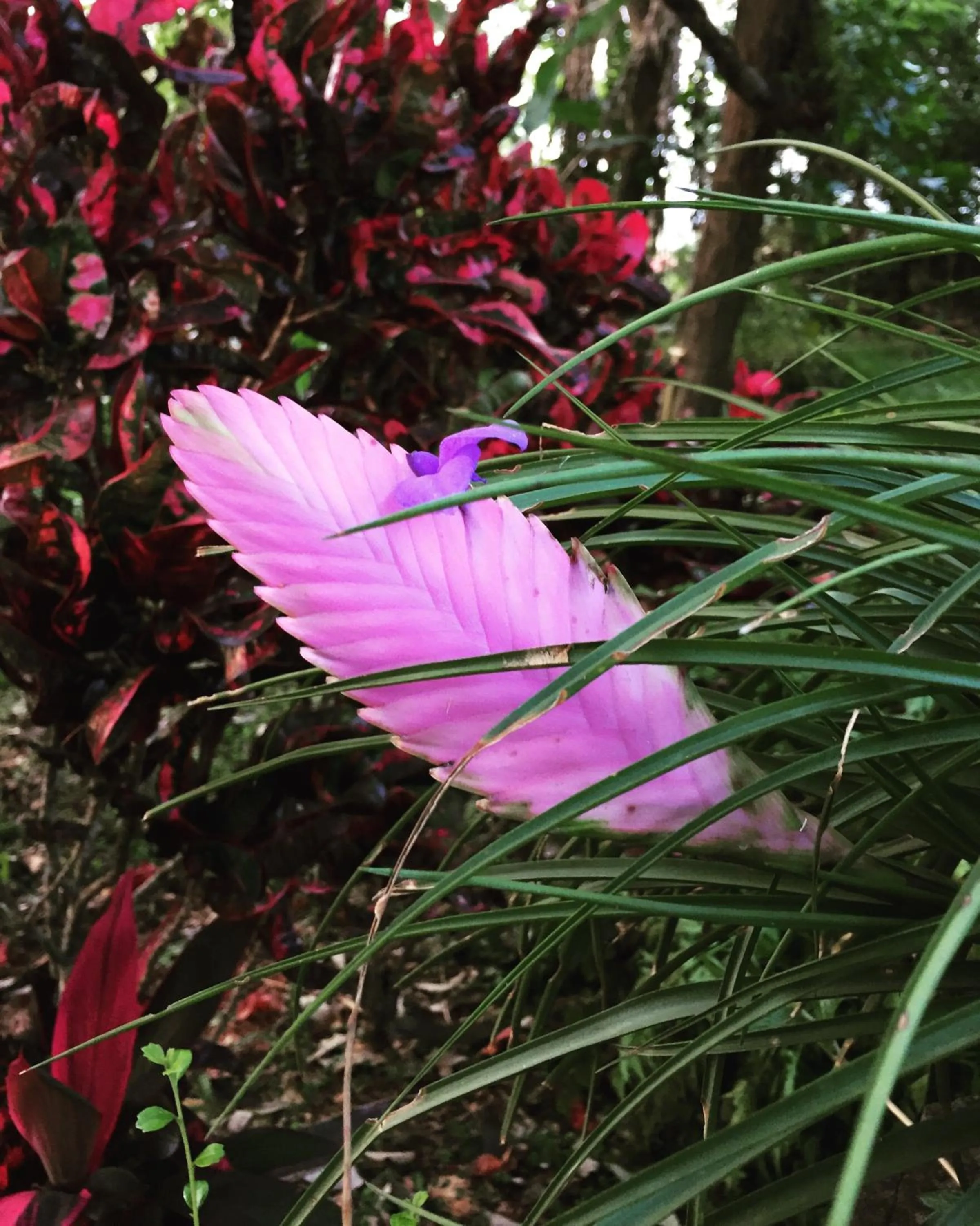 Khaoyai Nature Retreat