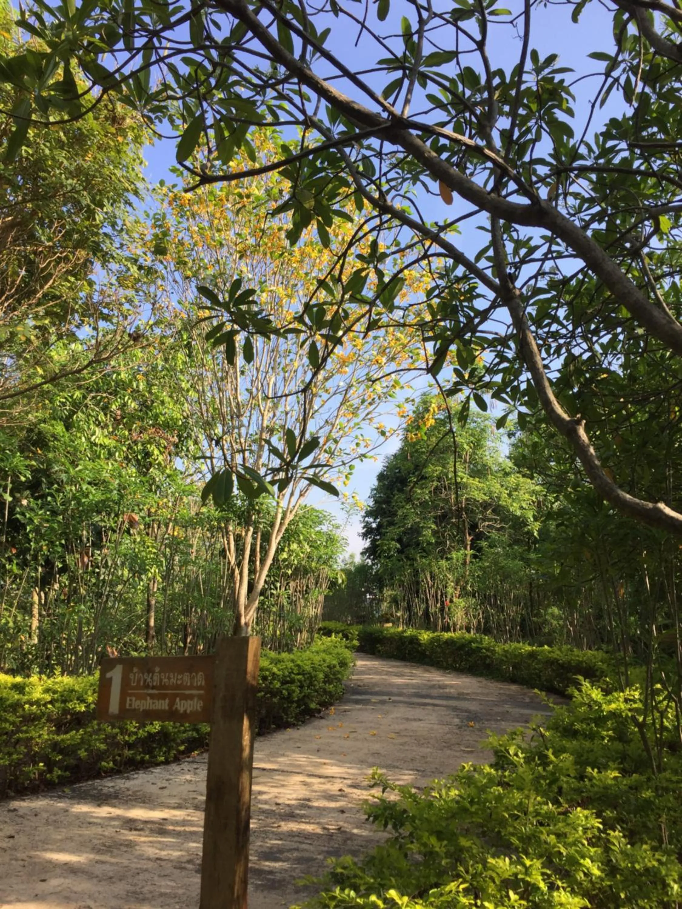 Khaoyai Nature Retreat