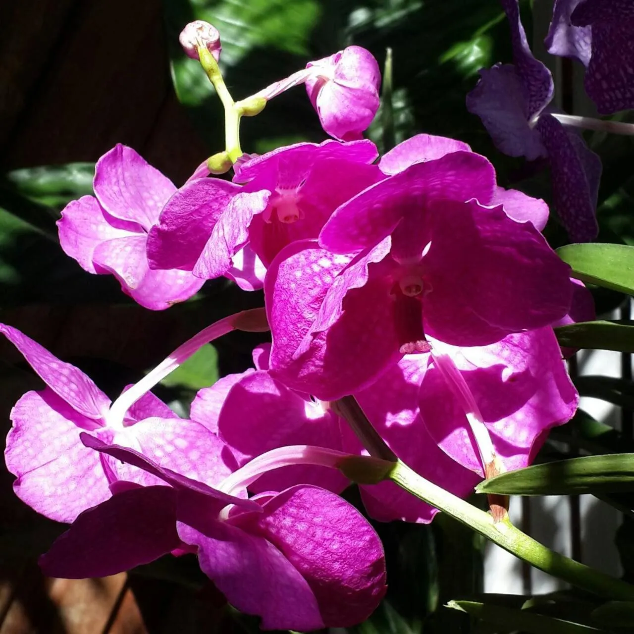 Khaoyai Nature Retreat