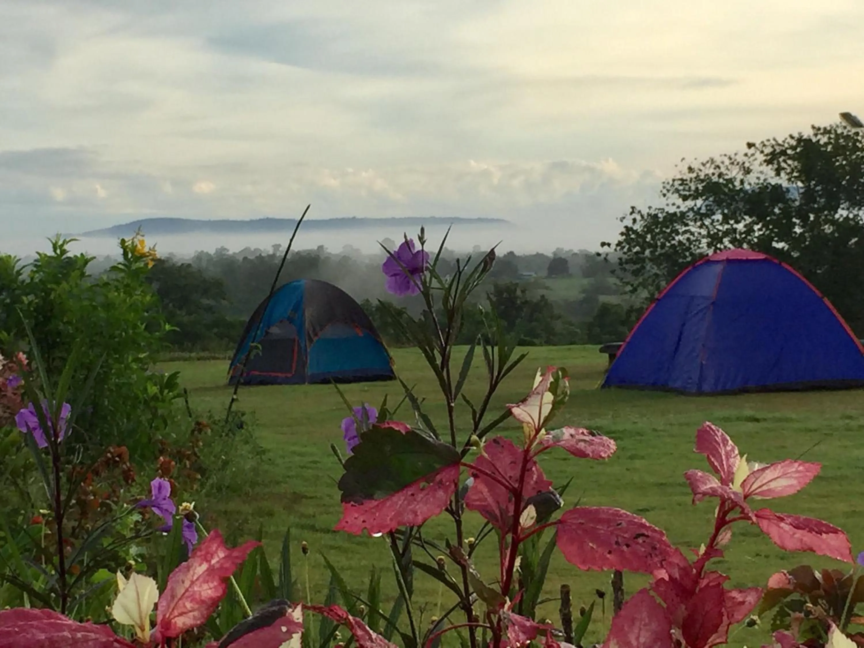 Khaoyai Nature Retreat