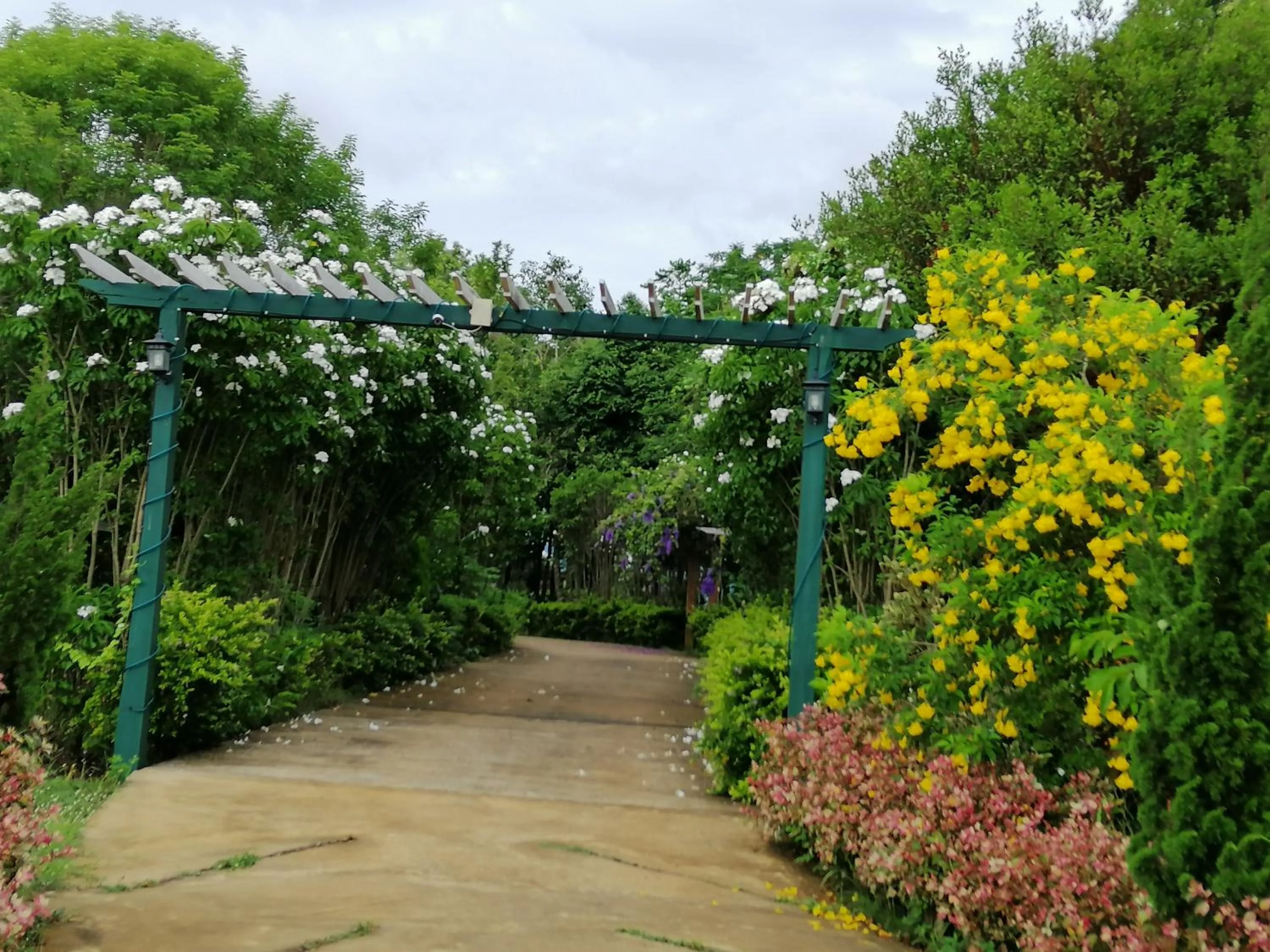 Khaoyai Nature Retreat