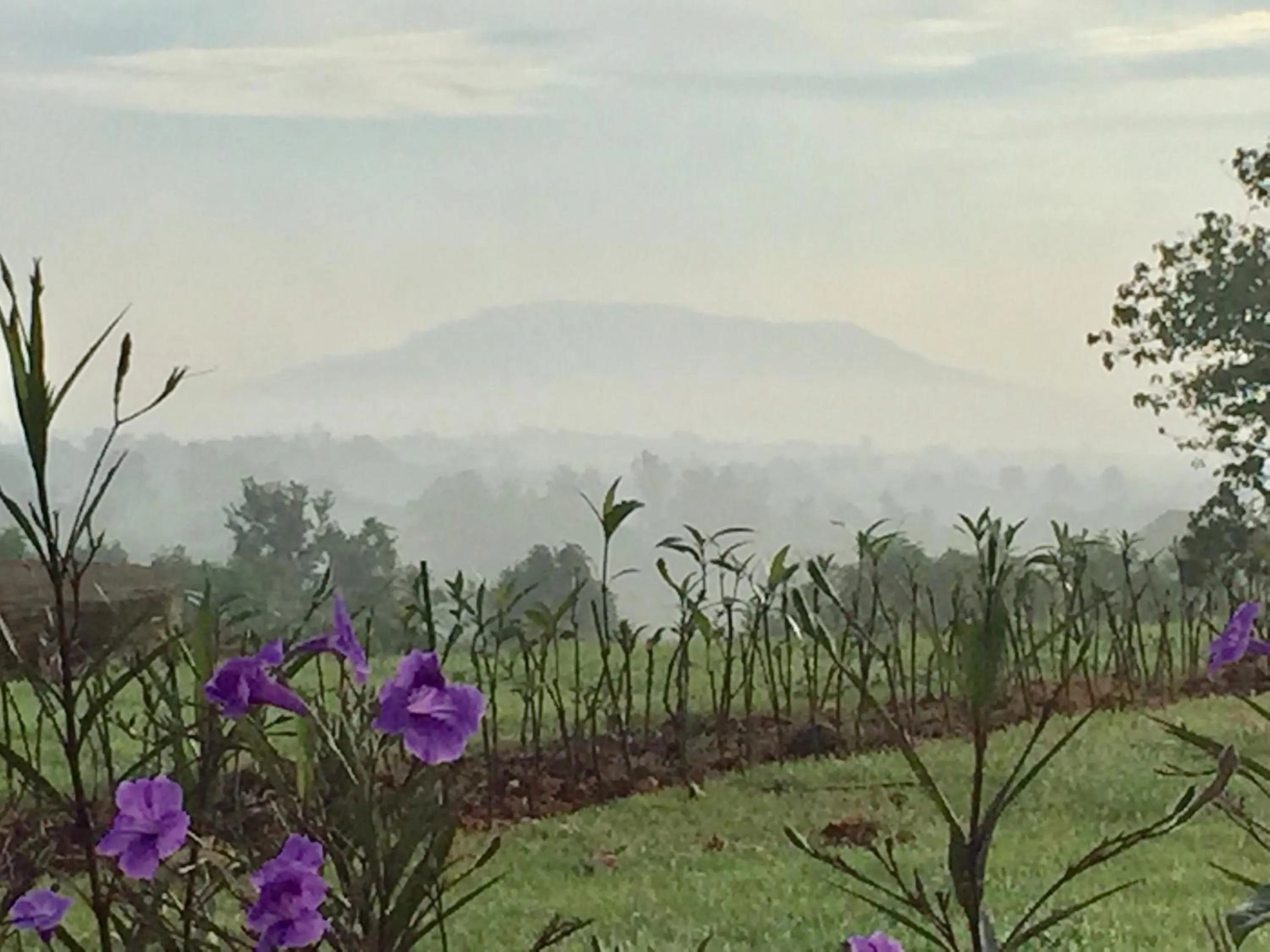 Khaoyai Nature Retreat