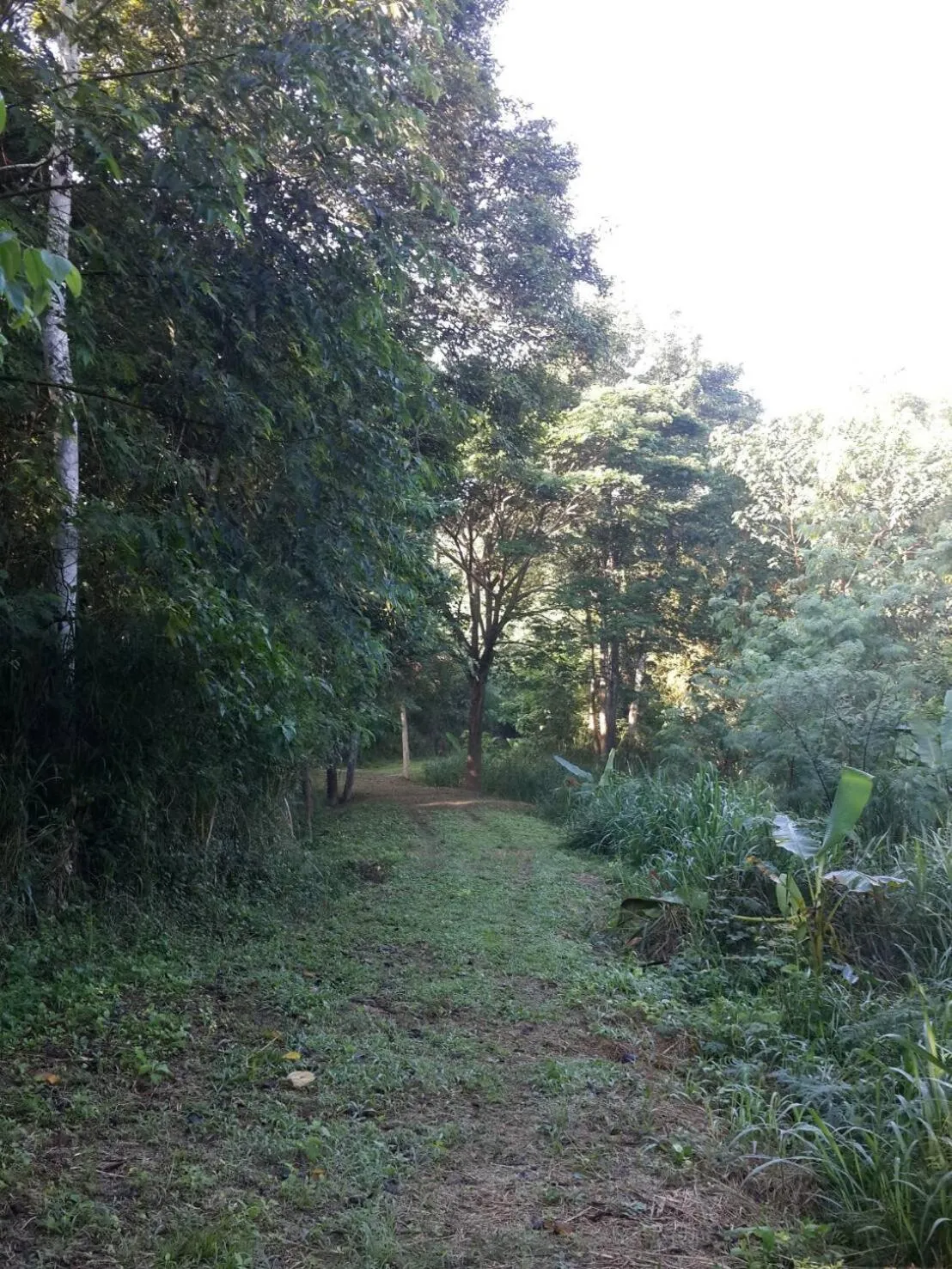 Khaoyai Nature Retreat