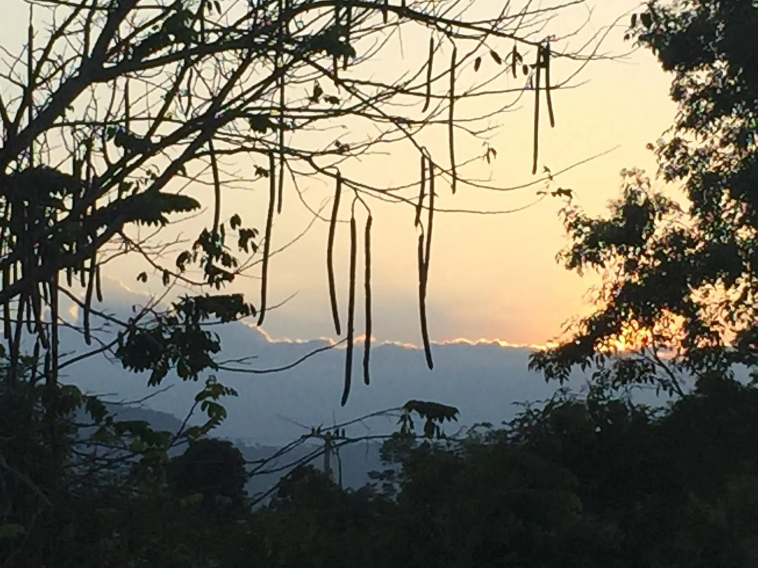 Khaoyai Nature Retreat