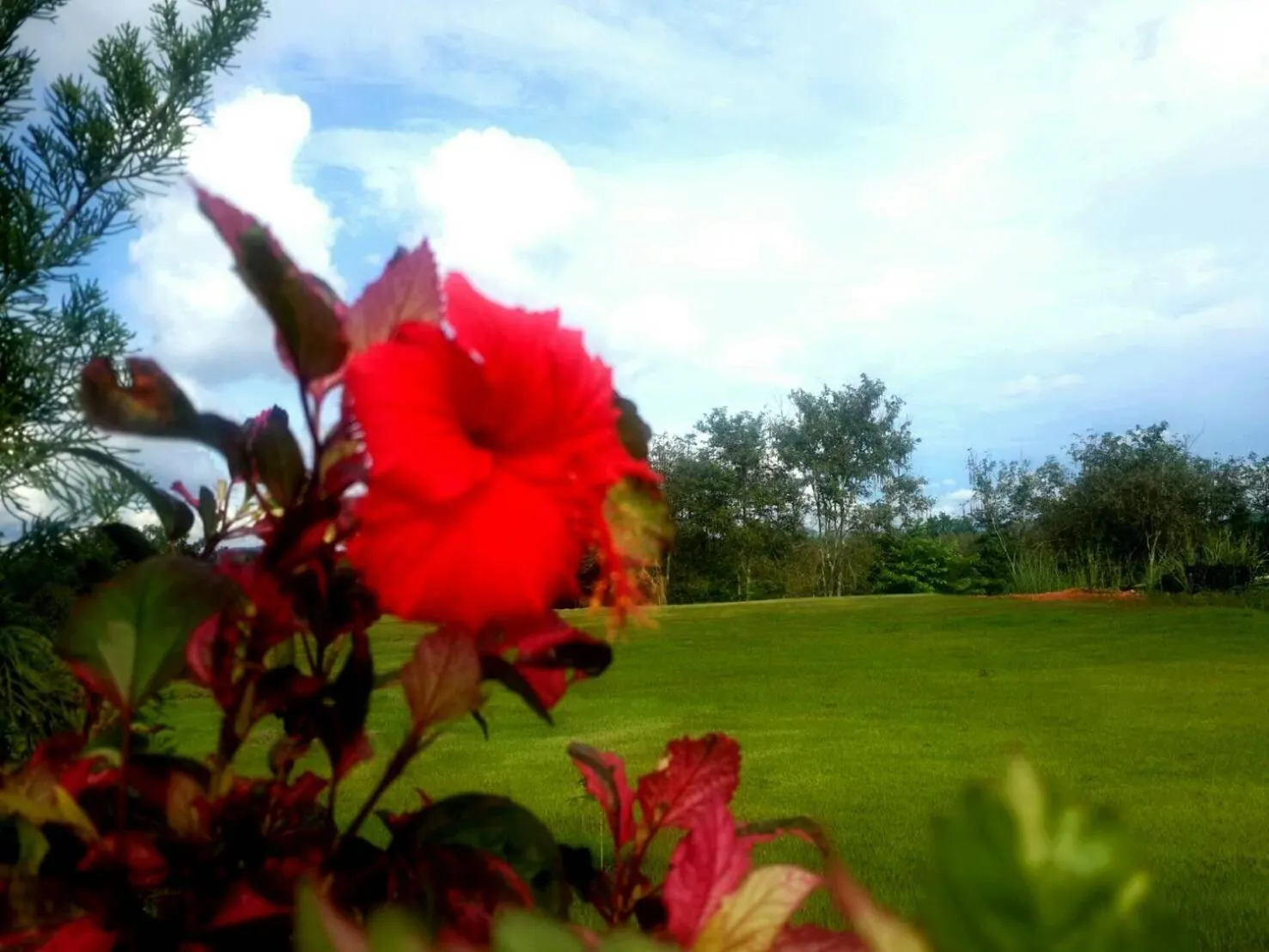 Khaoyai Nature Retreat