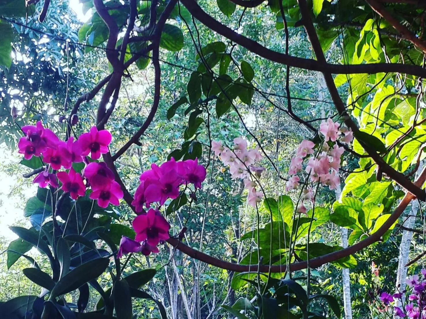 Khaoyai Nature Retreat