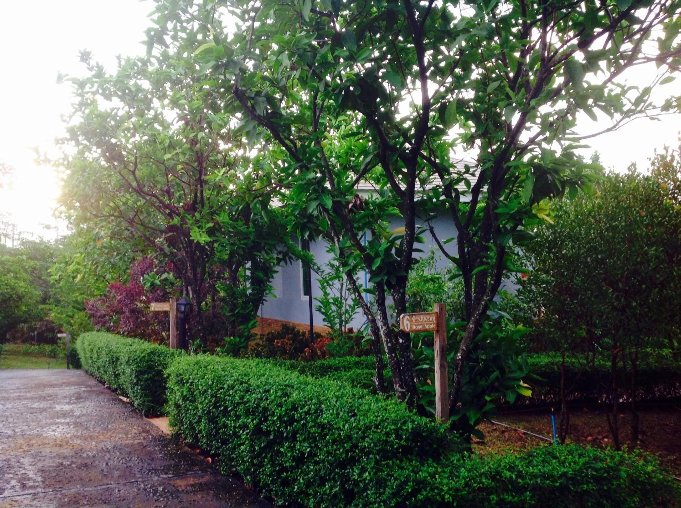 Khaoyai Nature Retreat