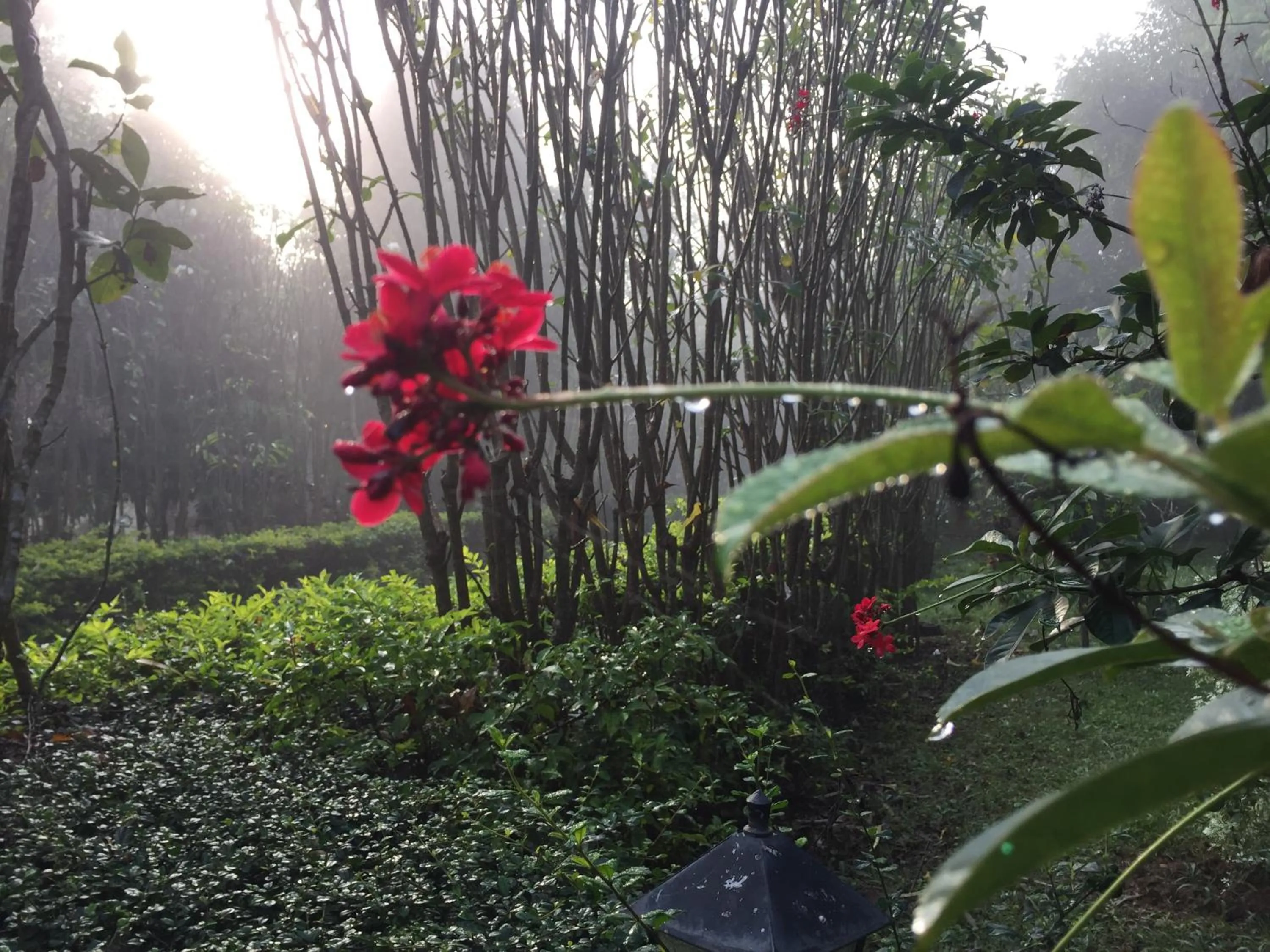 Khaoyai Nature Retreat