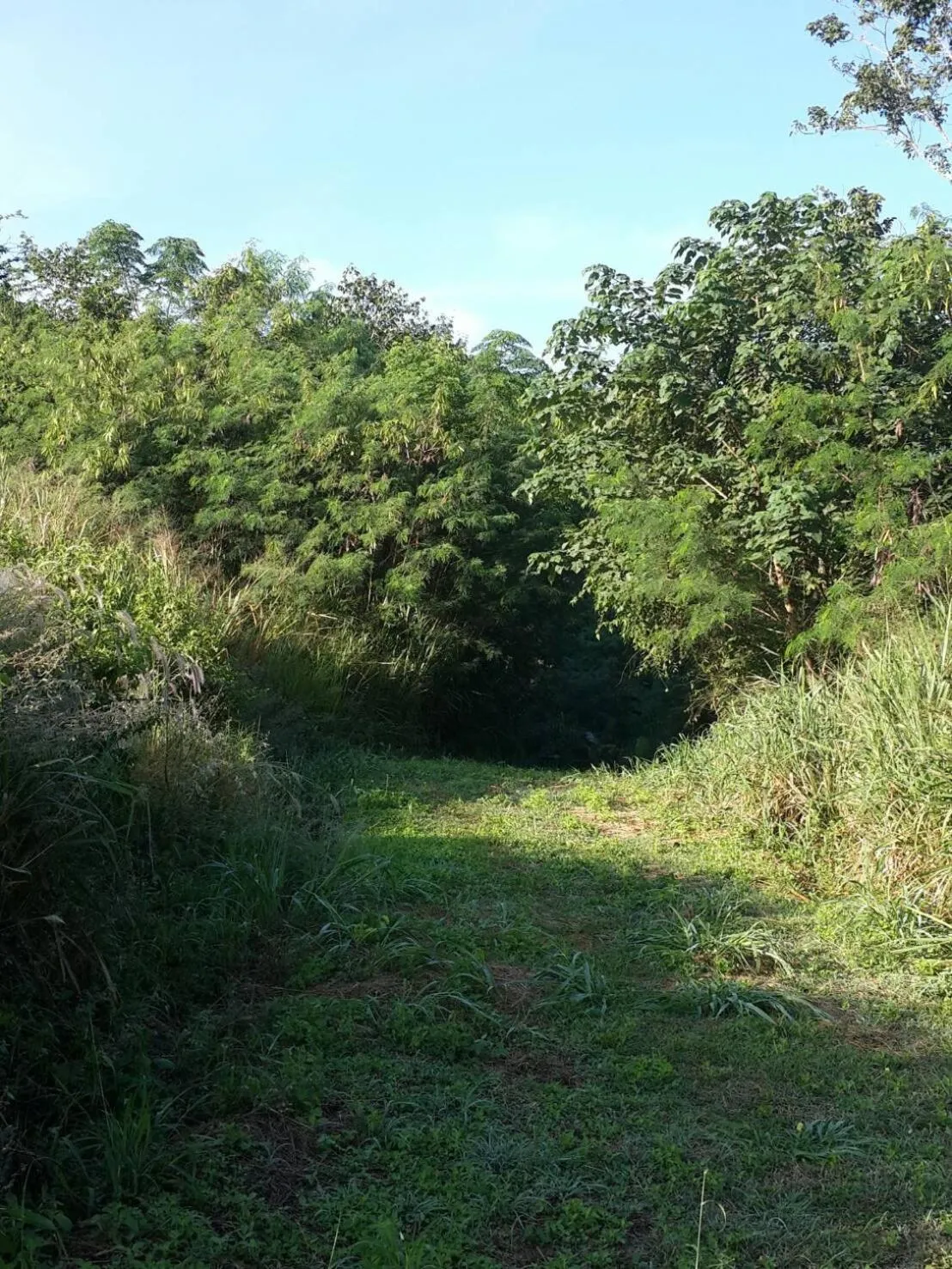 Khaoyai Nature Retreat