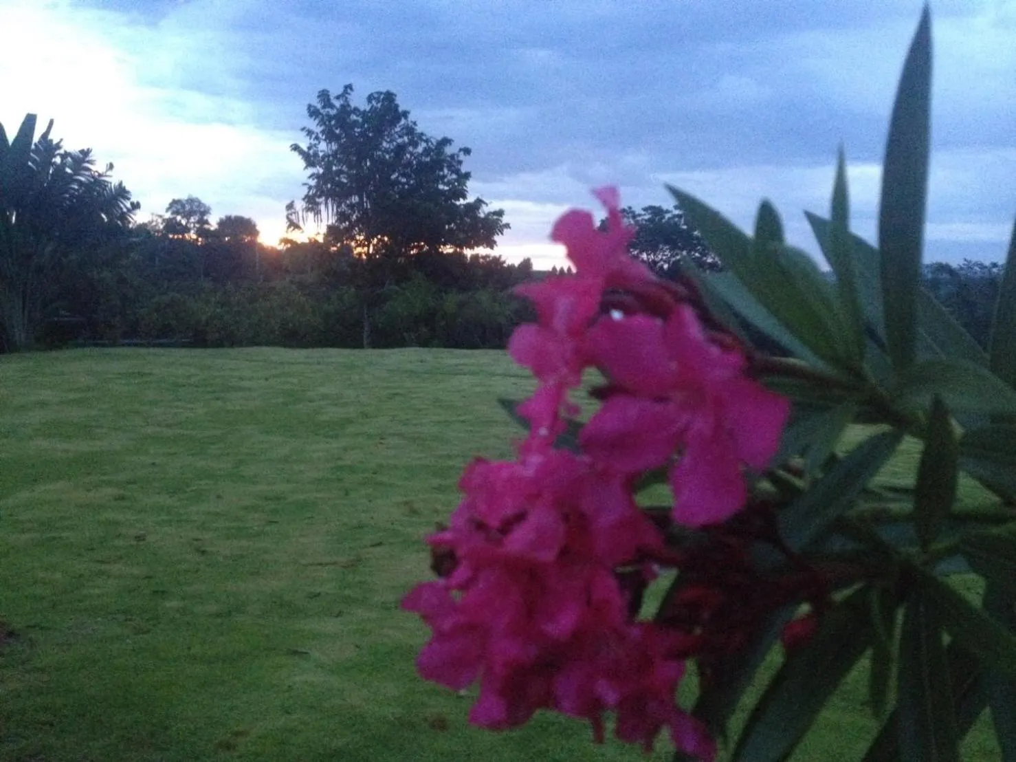 Area and facilities in Khaoyai Nature Retreat