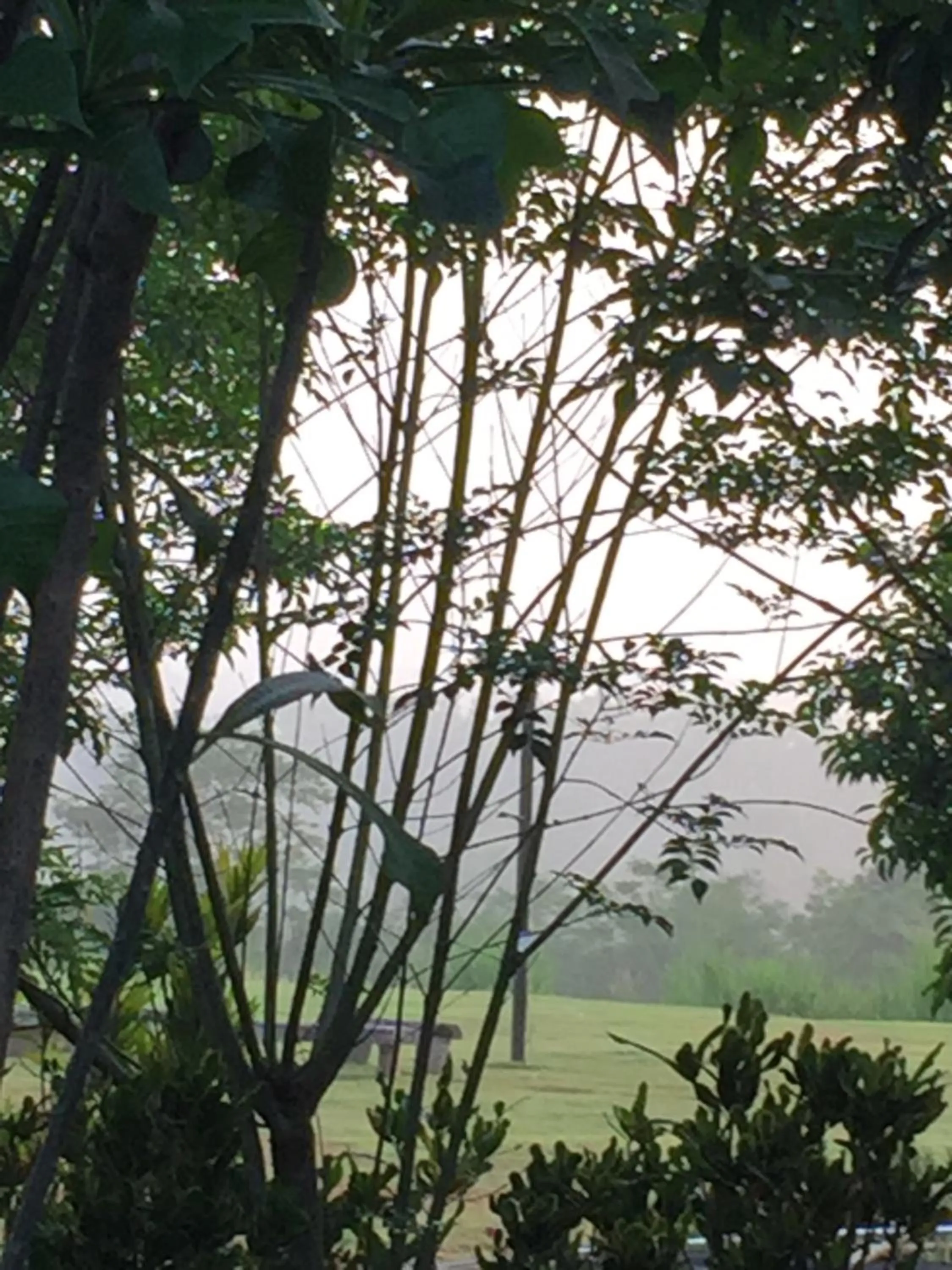 Khaoyai Nature Retreat