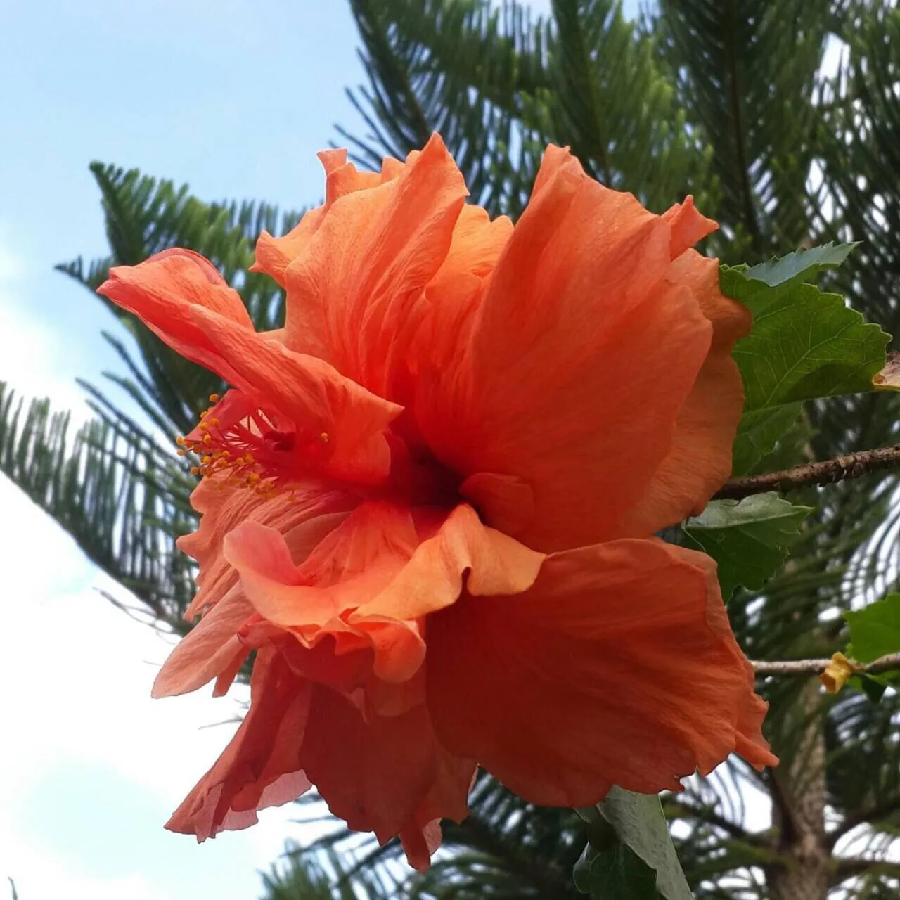 Khaoyai Nature Retreat