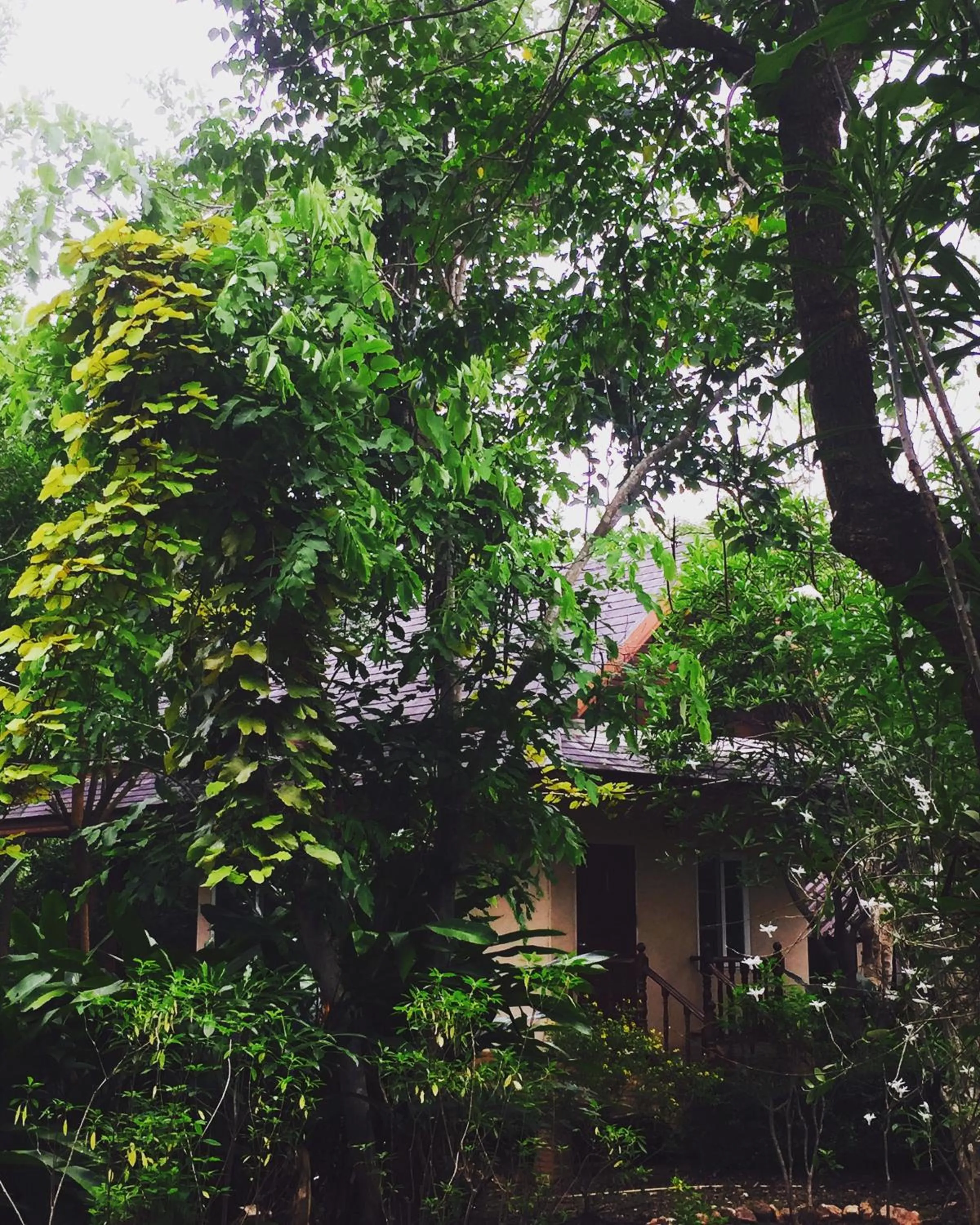 Khaoyai Nature Retreat