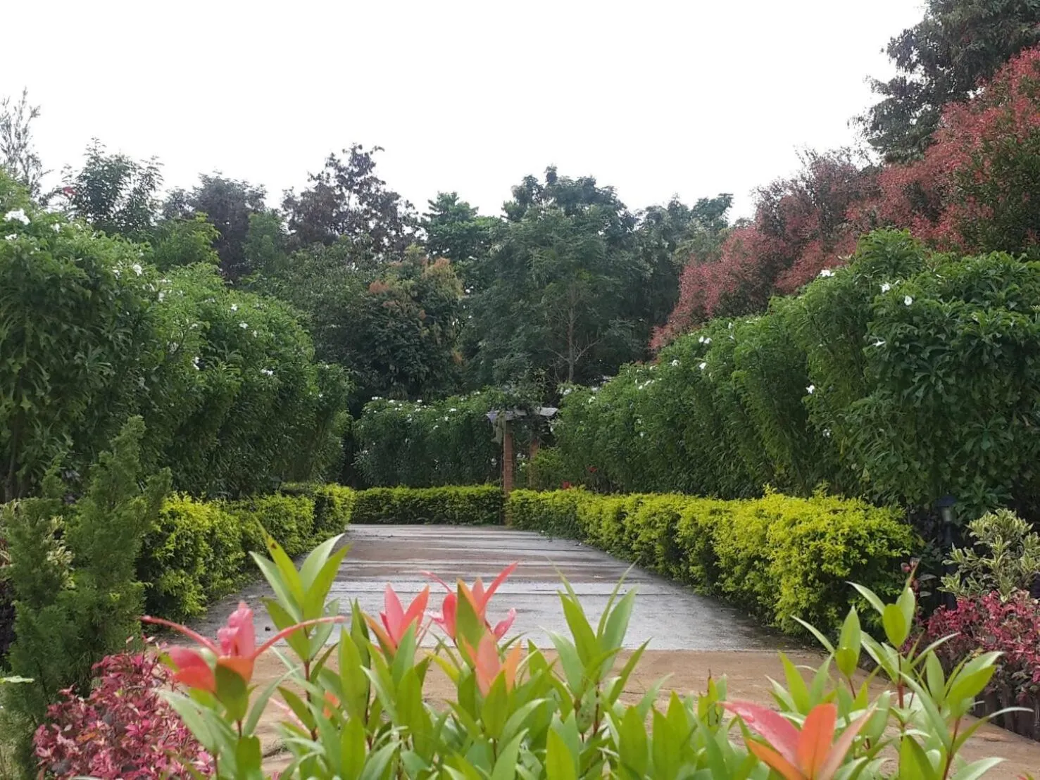 Khaoyai Nature Retreat