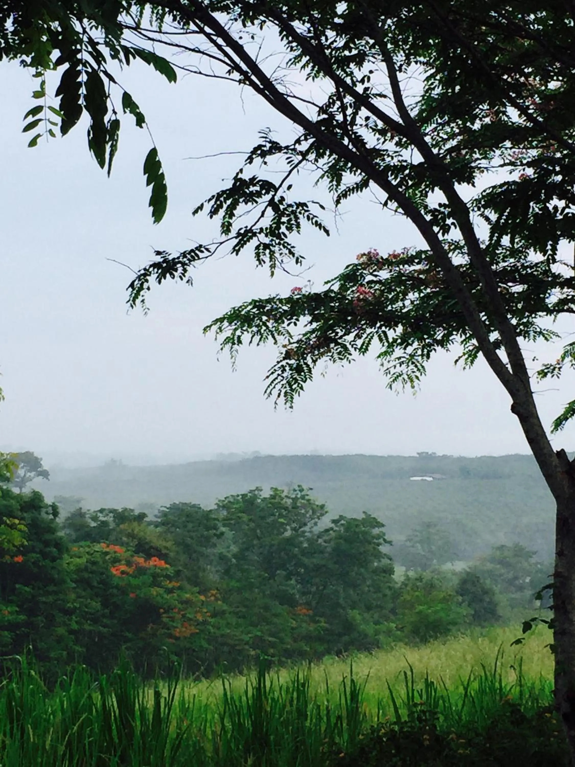 Khaoyai Nature Retreat