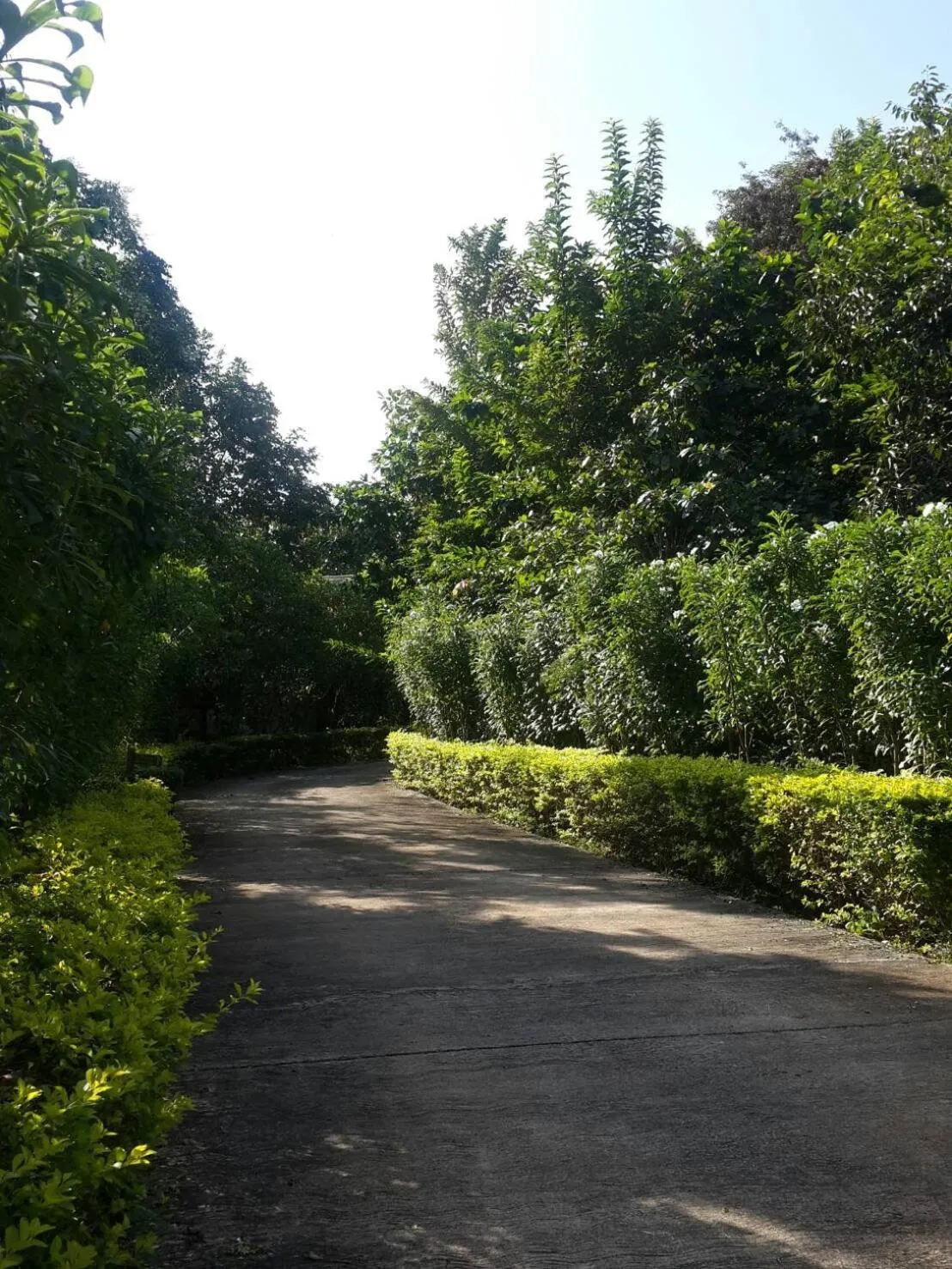 Khaoyai Nature Retreat