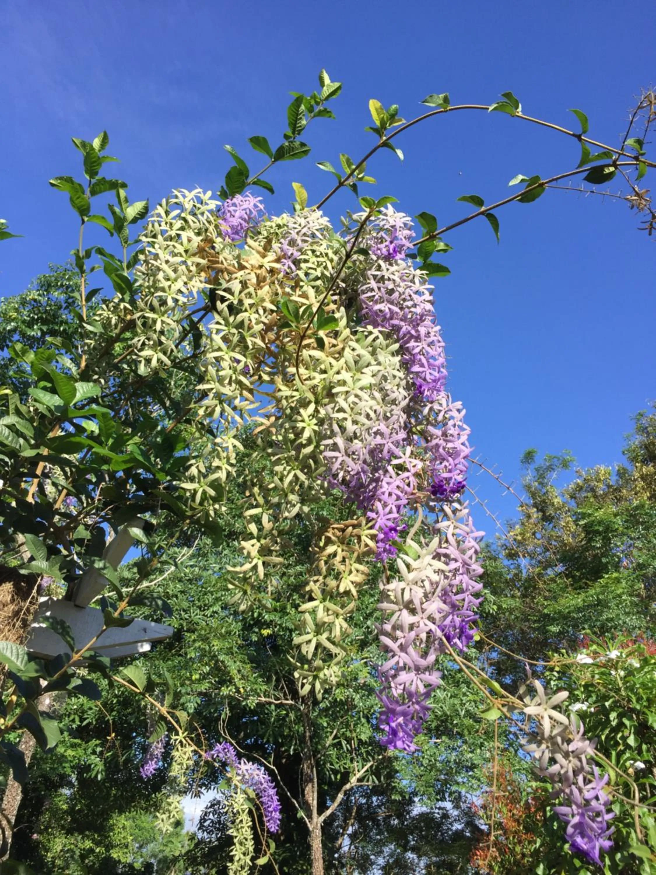 Khaoyai Nature Retreat