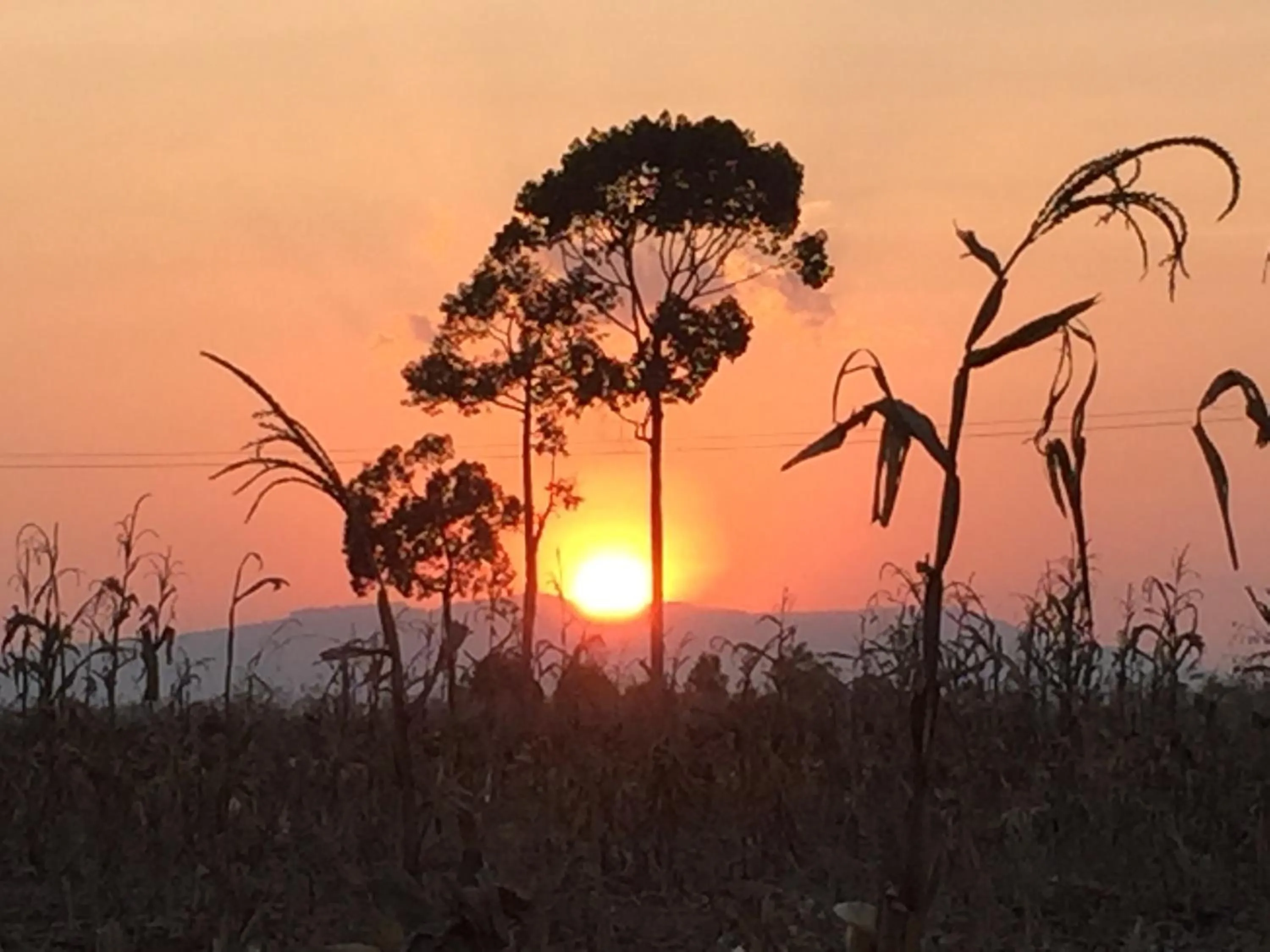 Khaoyai Nature Retreat