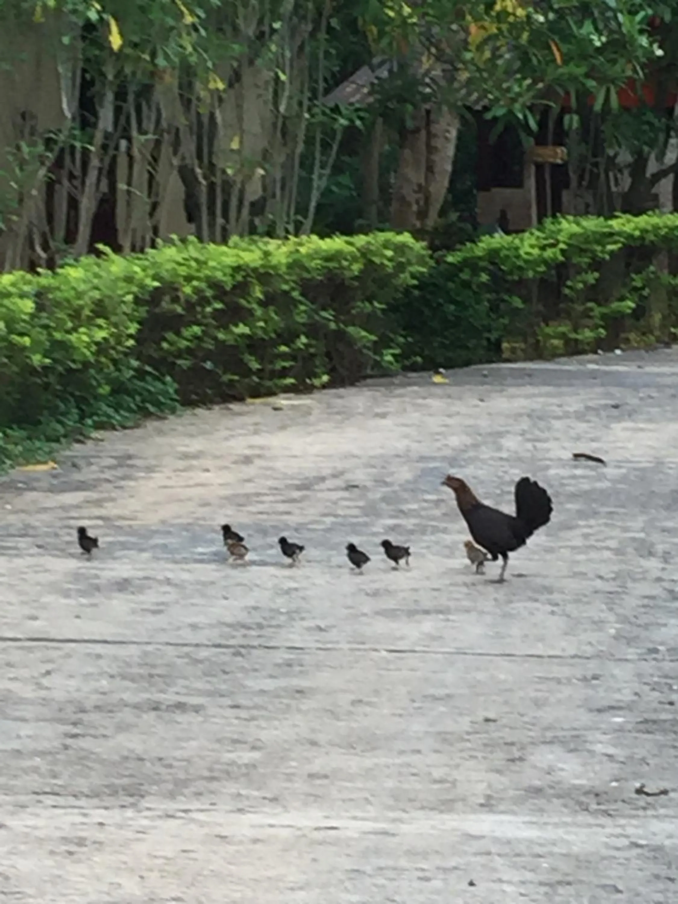 Khaoyai Nature Retreat