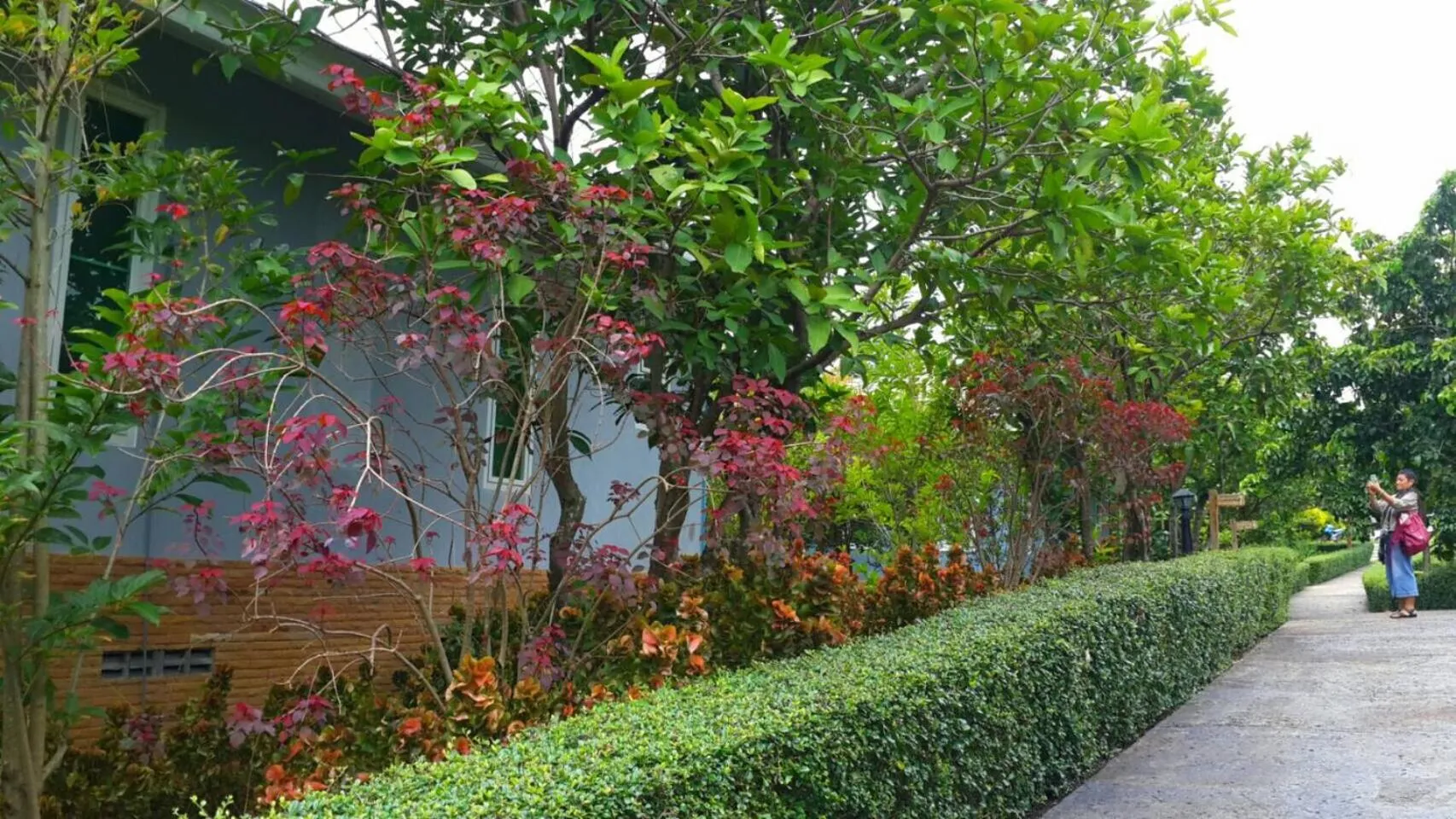 Khaoyai Nature Retreat