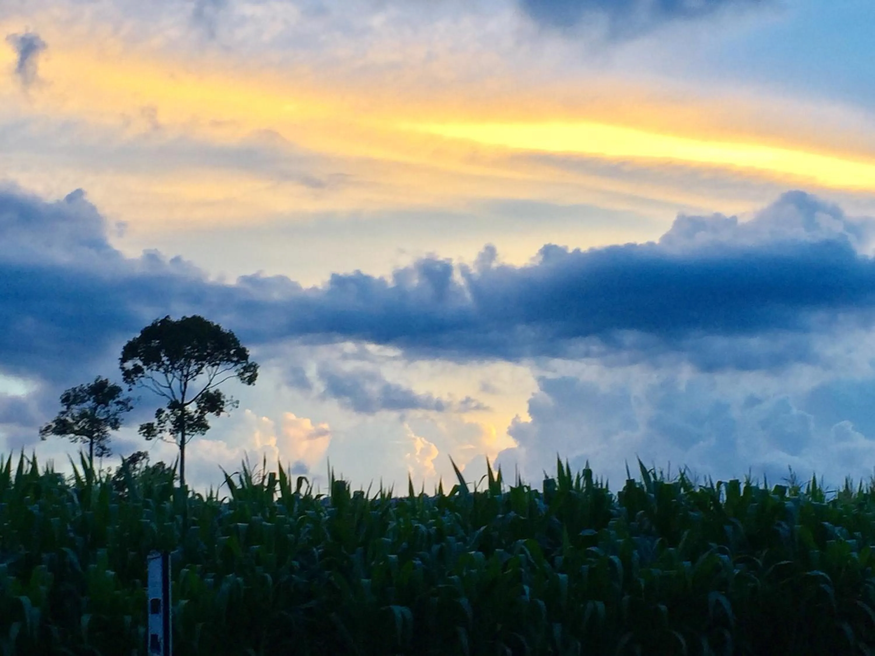 Khaoyai Nature Retreat