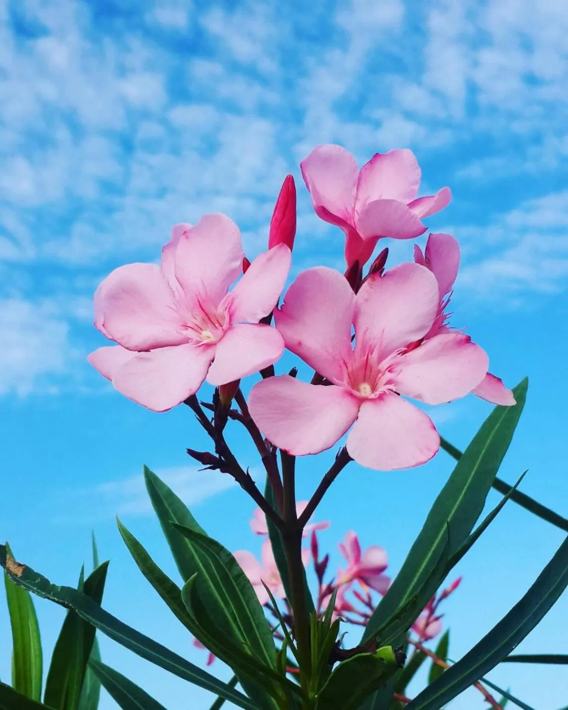 Khaoyai Nature Retreat