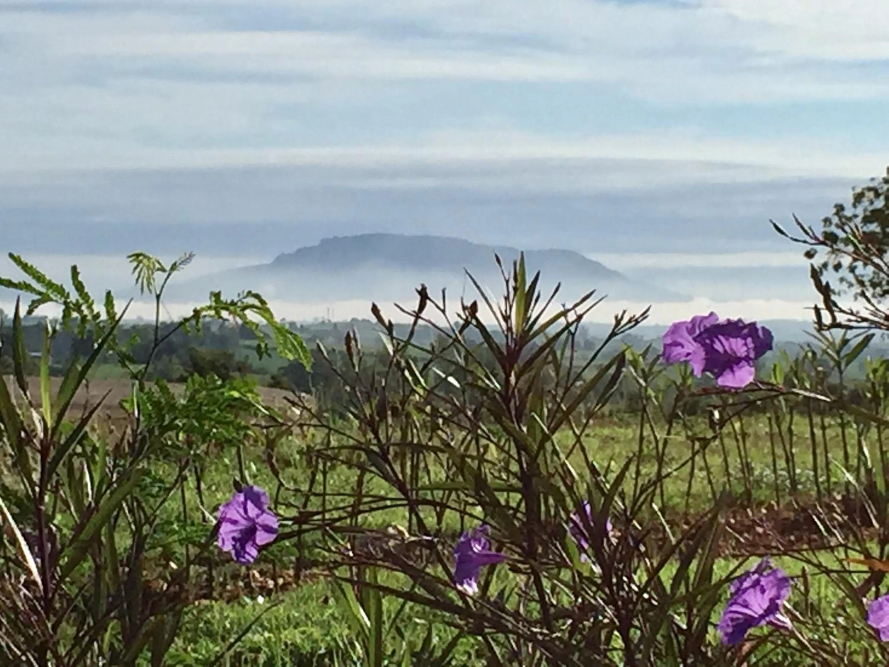 Khaoyai Nature Retreat