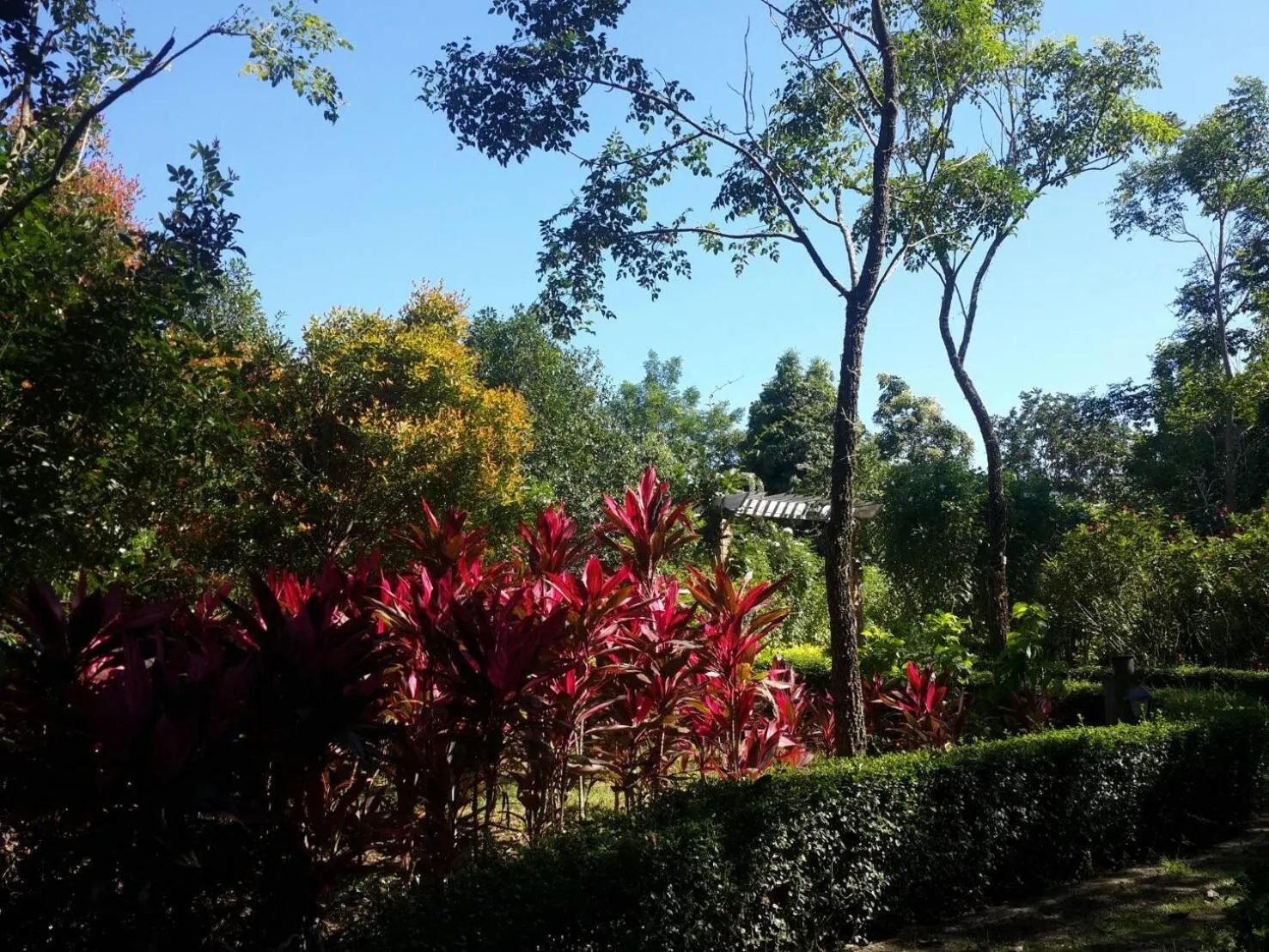 Khaoyai Nature Retreat