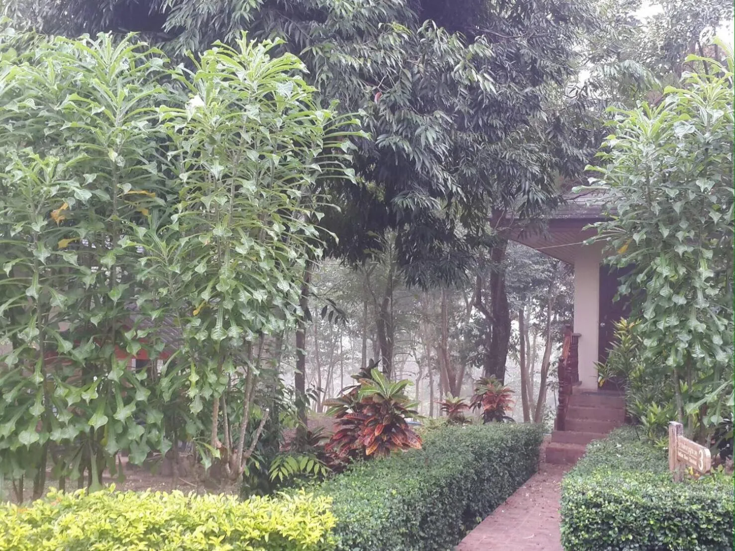 Khaoyai Nature Retreat