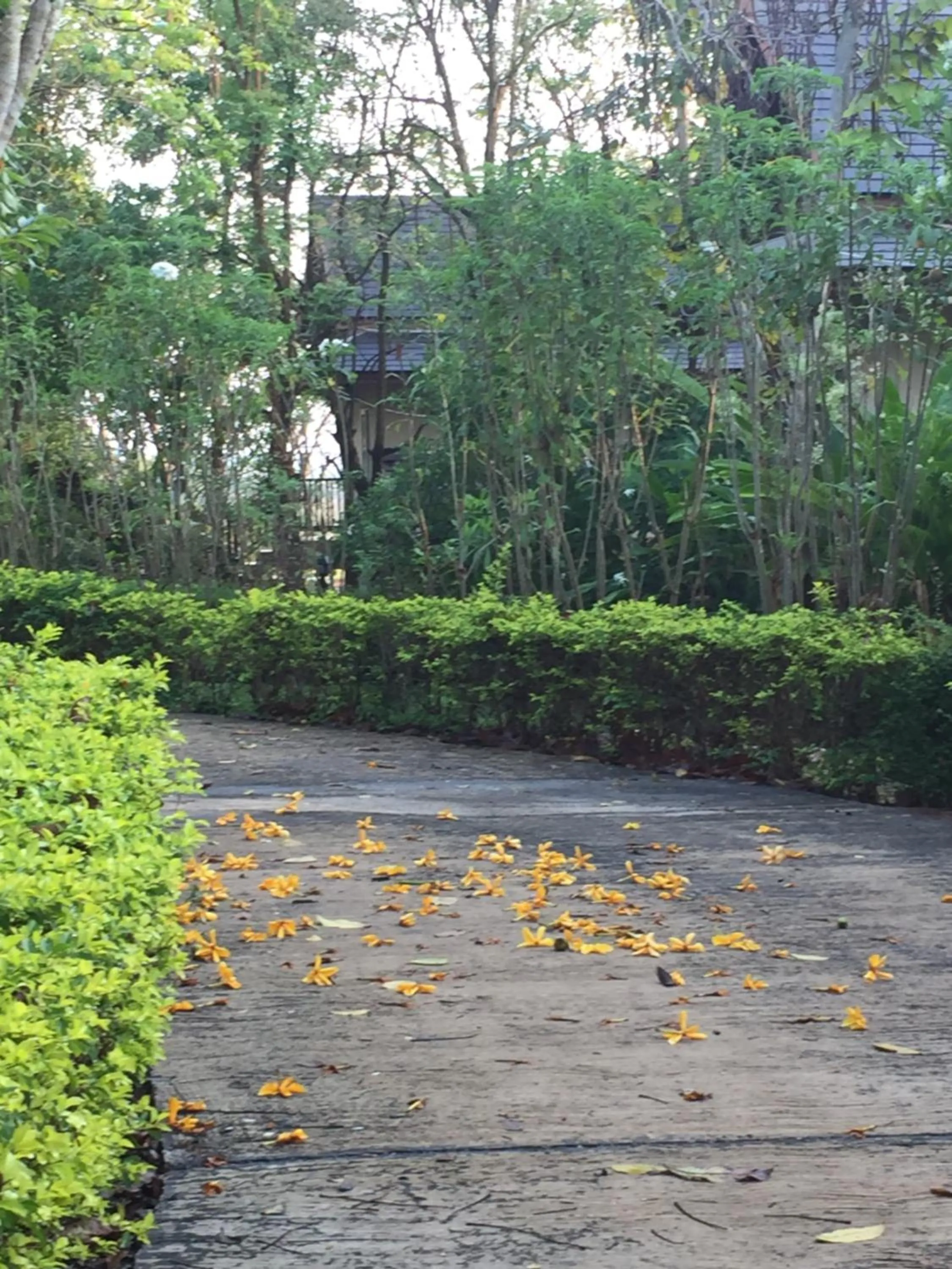 Khaoyai Nature Retreat