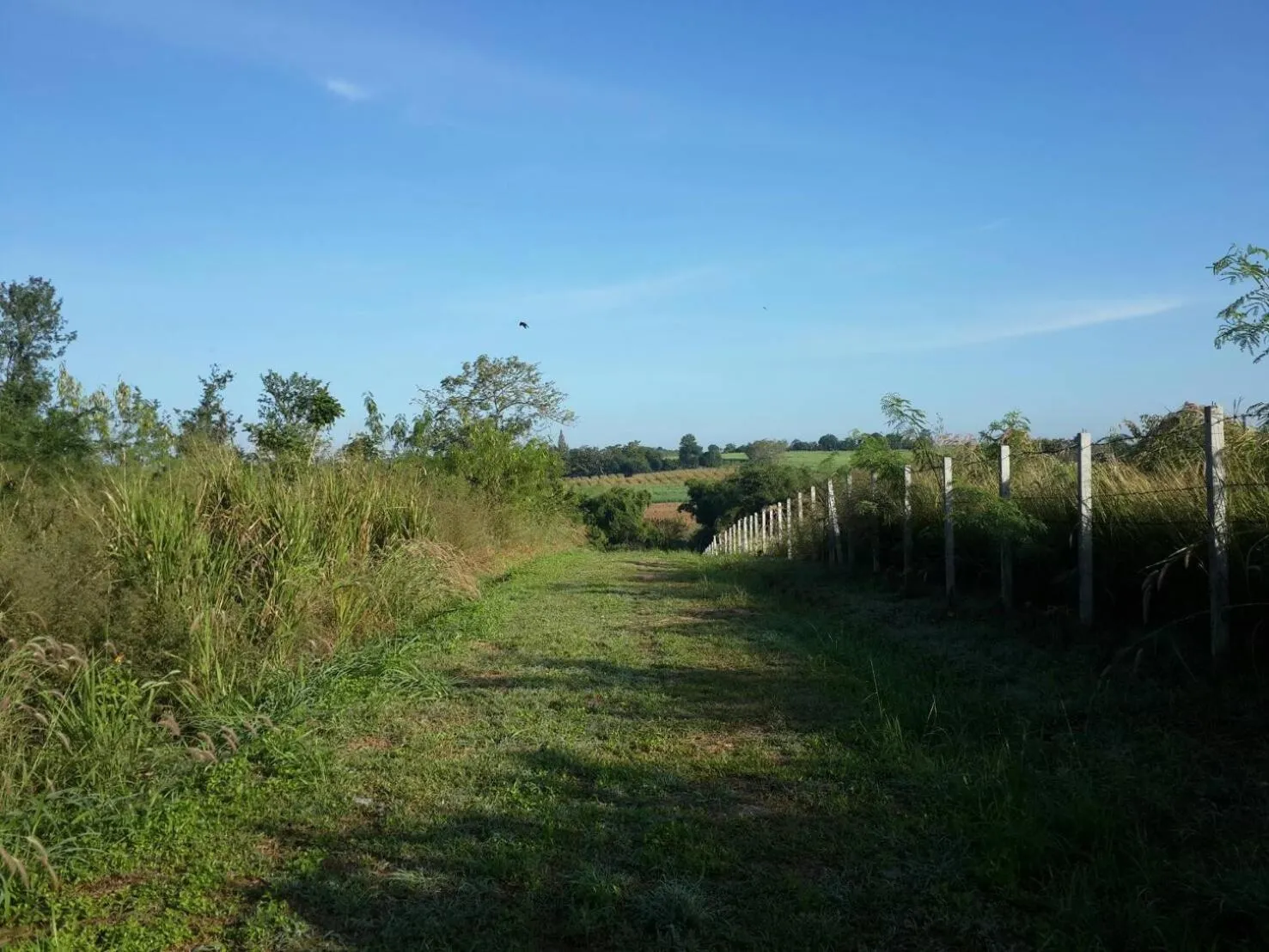 Khaoyai Nature Retreat