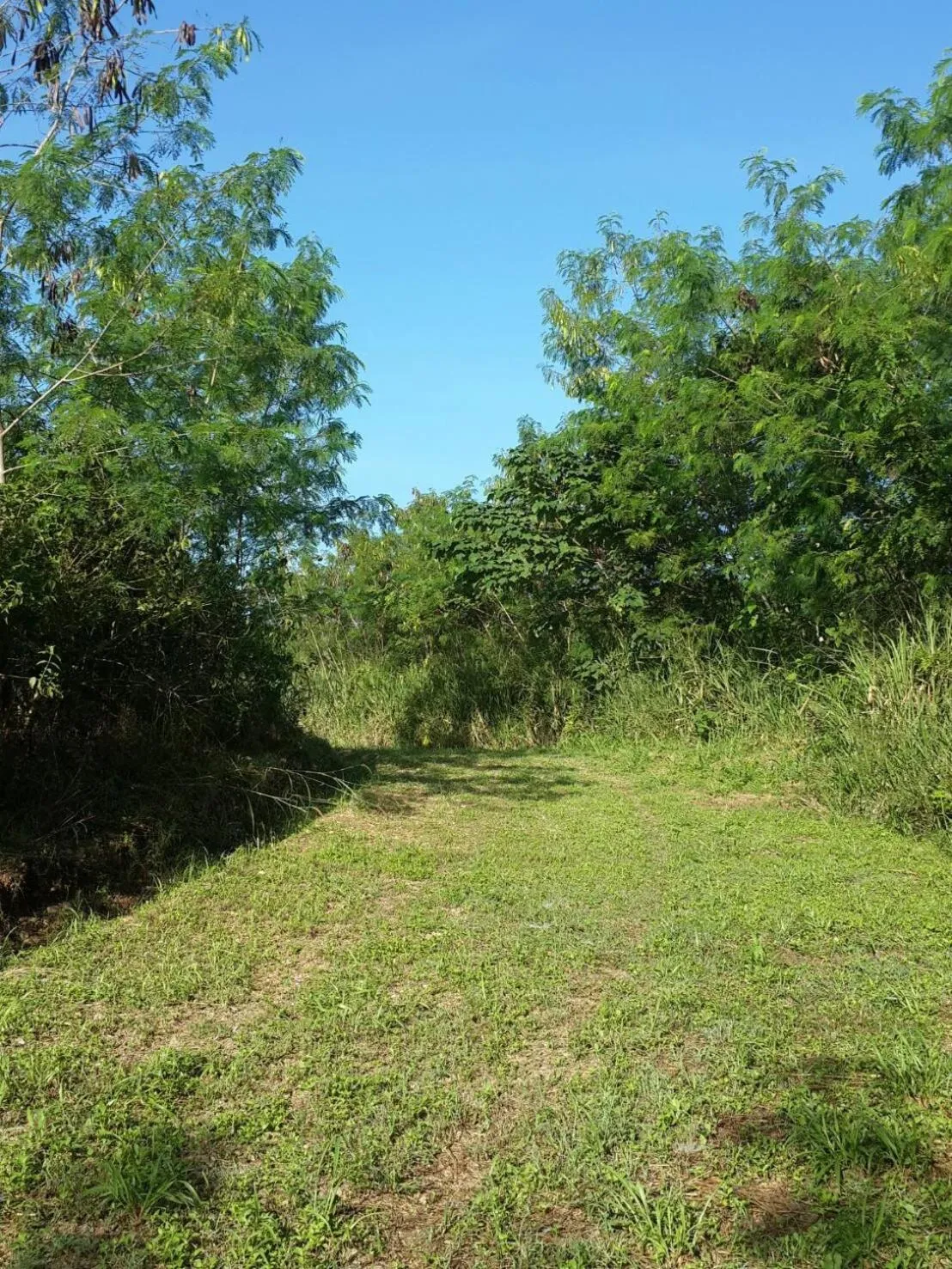 Khaoyai Nature Retreat