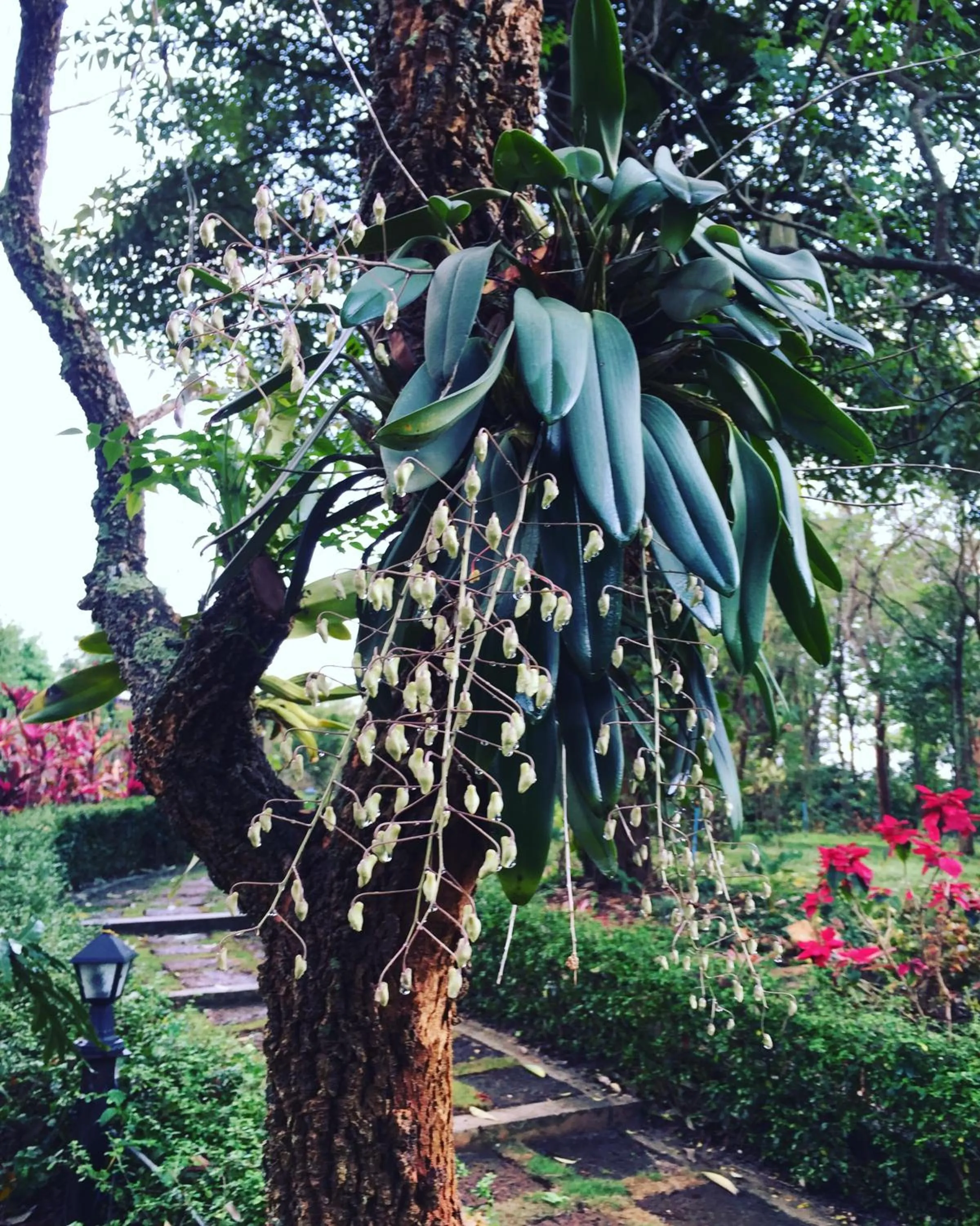 Khaoyai Nature Retreat