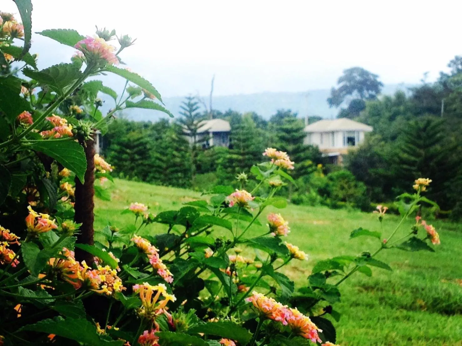 Garden in Khaoyai Nature Retreat