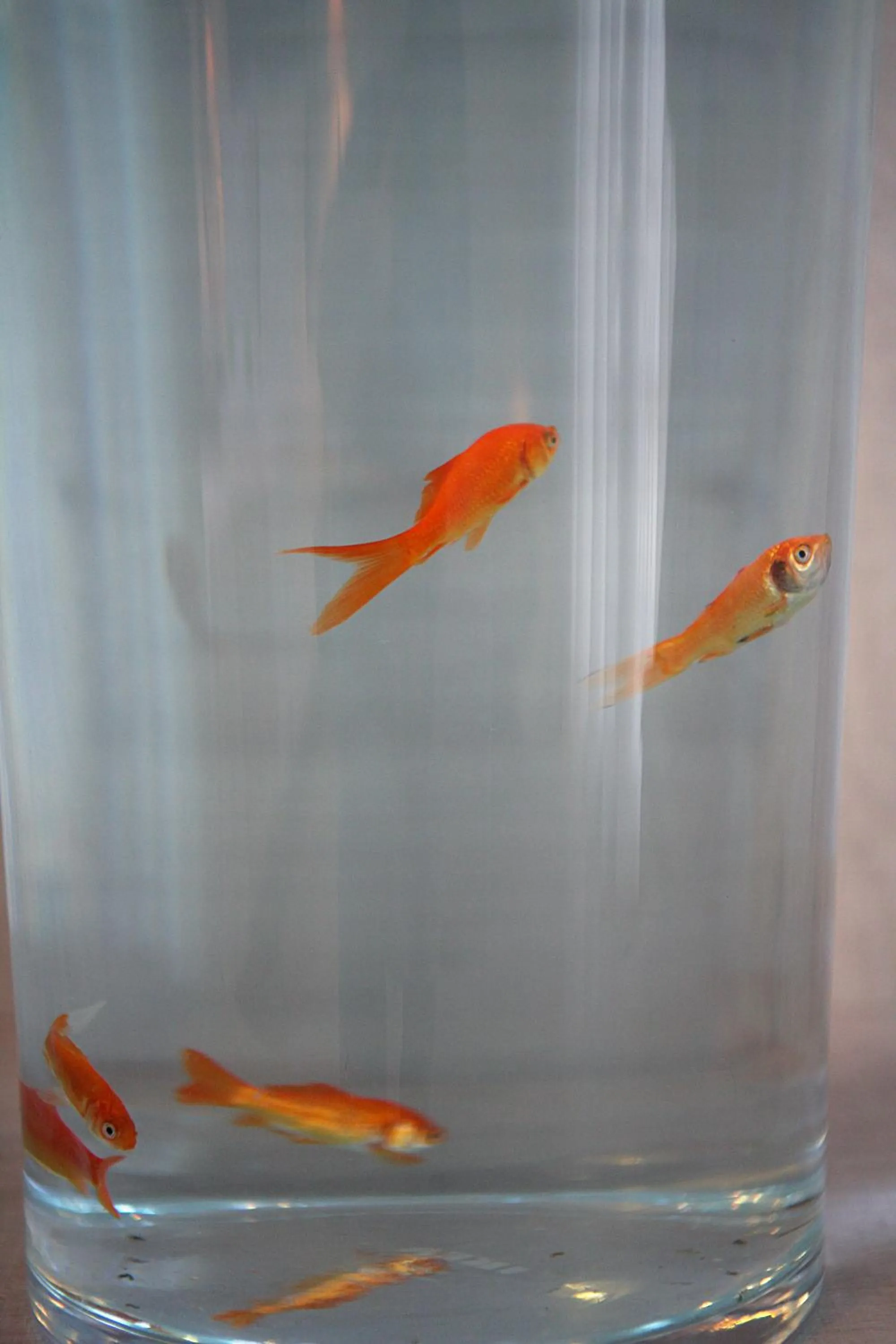 Decorative detail in Aqua Mare Hotel