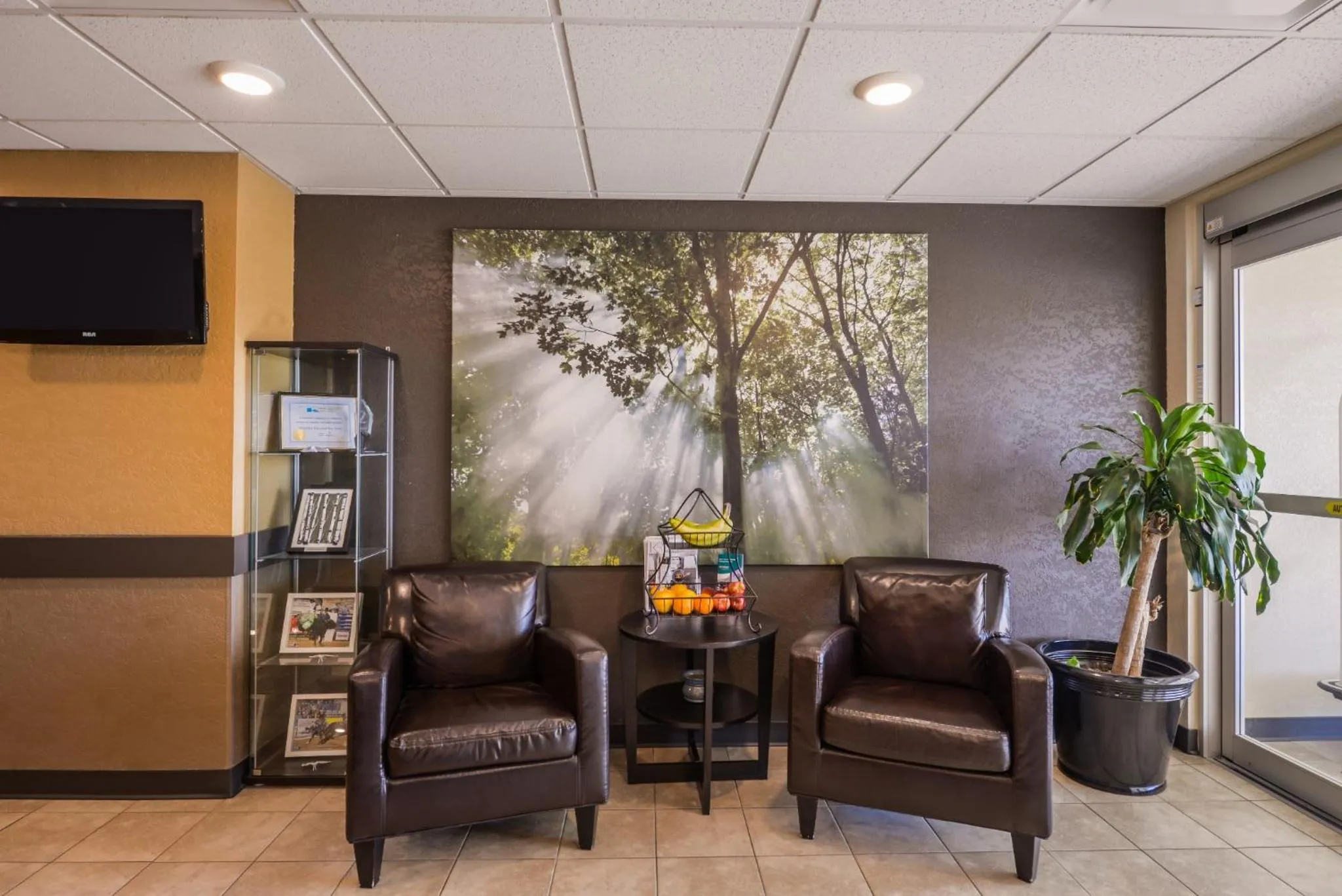 Day, Lobby/Reception in Quality Inn and Suites