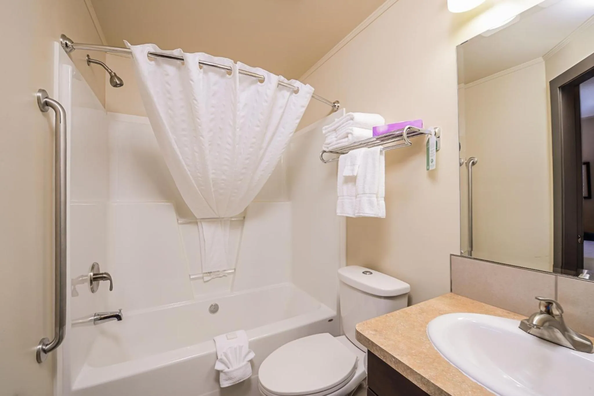 Shower, Bathroom in Quality Inn and Suites