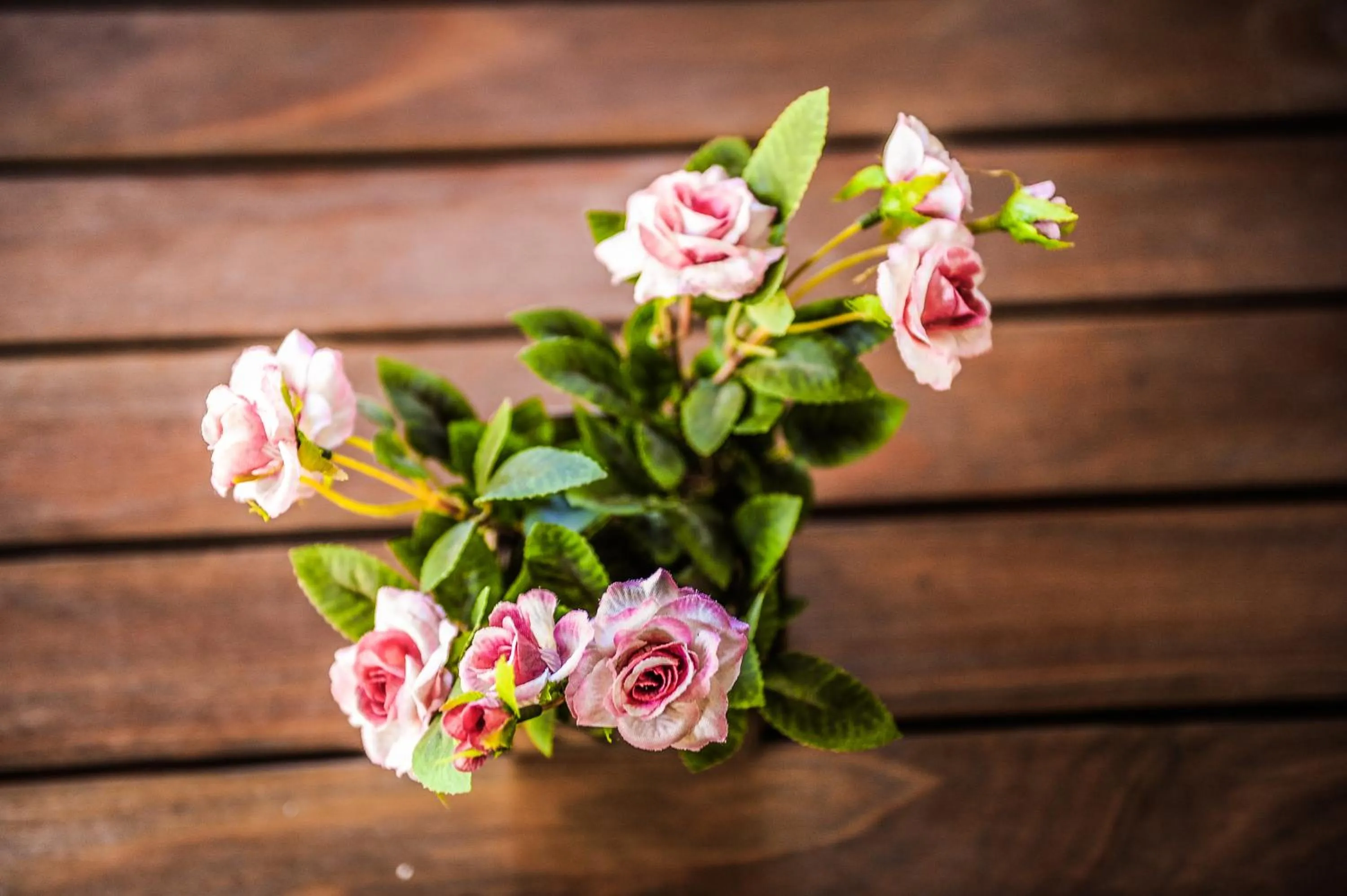 Area and facilities in Pousada & Spa Cantos e Contos