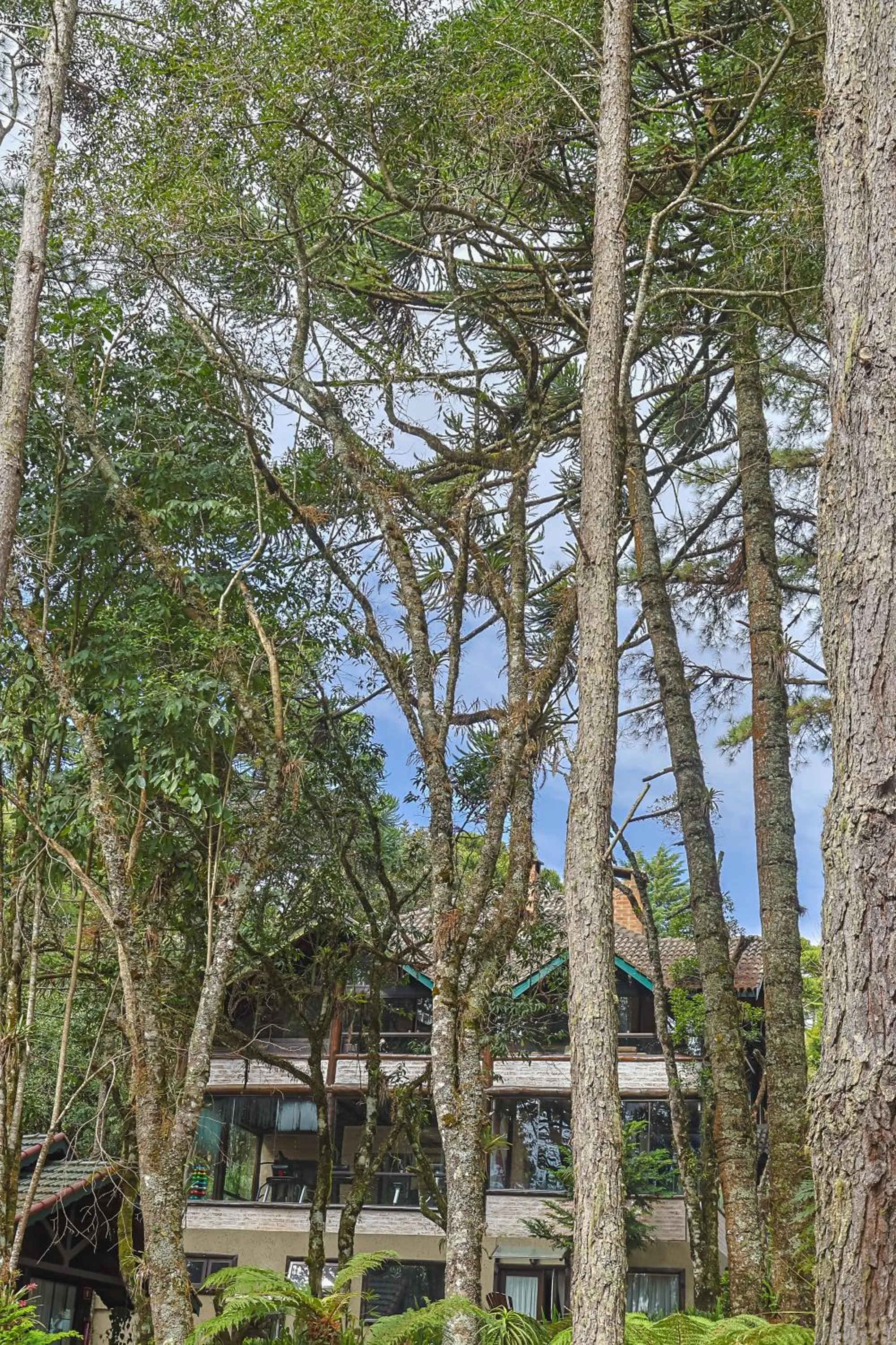 Garden view in Pousada & Spa Cantos e Contos