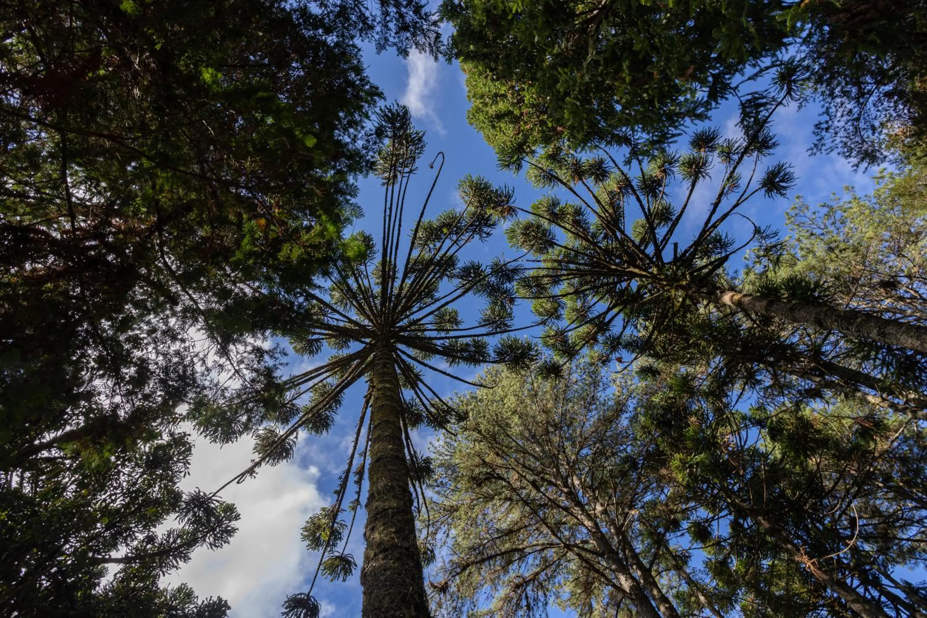 Pousada & Spa Cantos e Contos