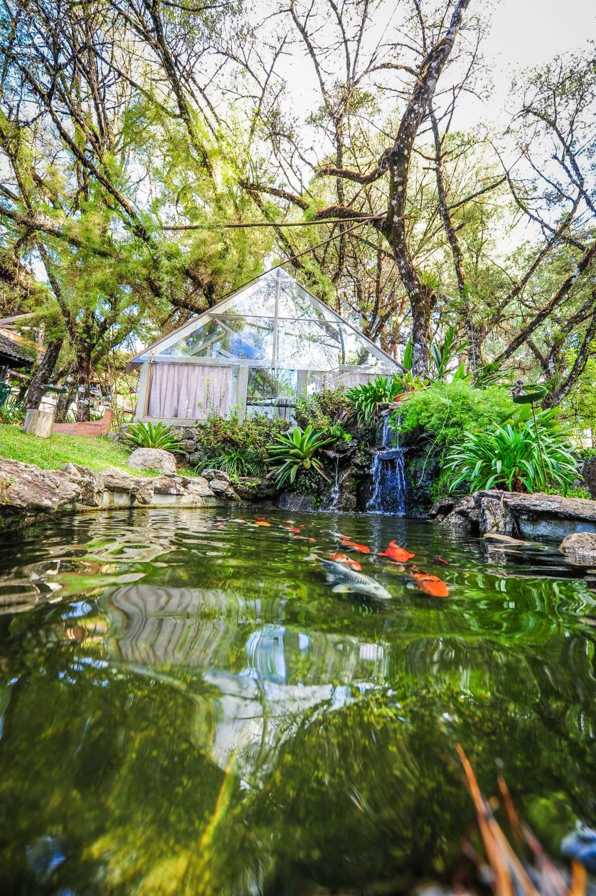 Lake view in Pousada & Spa Cantos e Contos